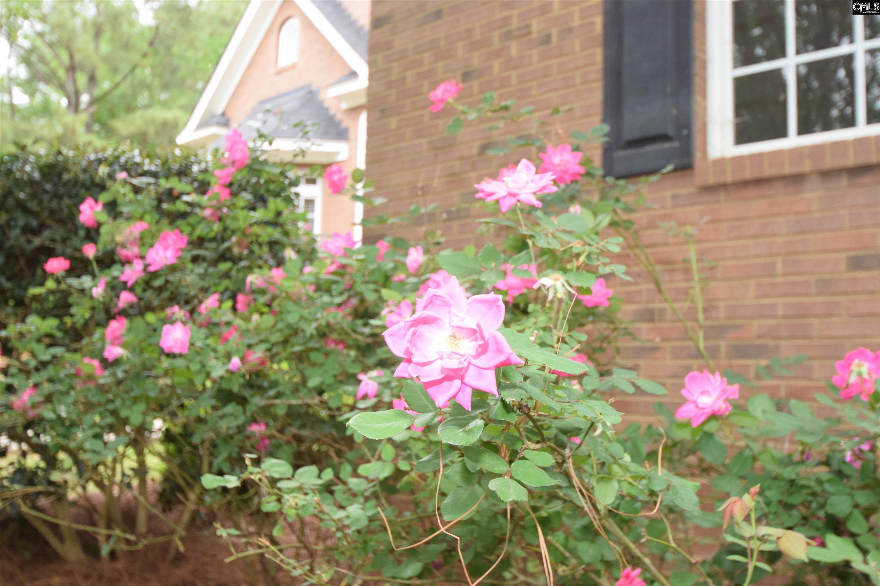 209 Kelsey Glen Drive Lexington, SC 29072