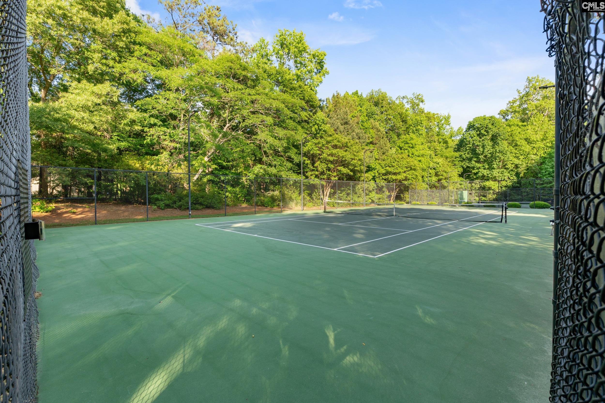 923 Seabrook Court Lexington, SC 29072