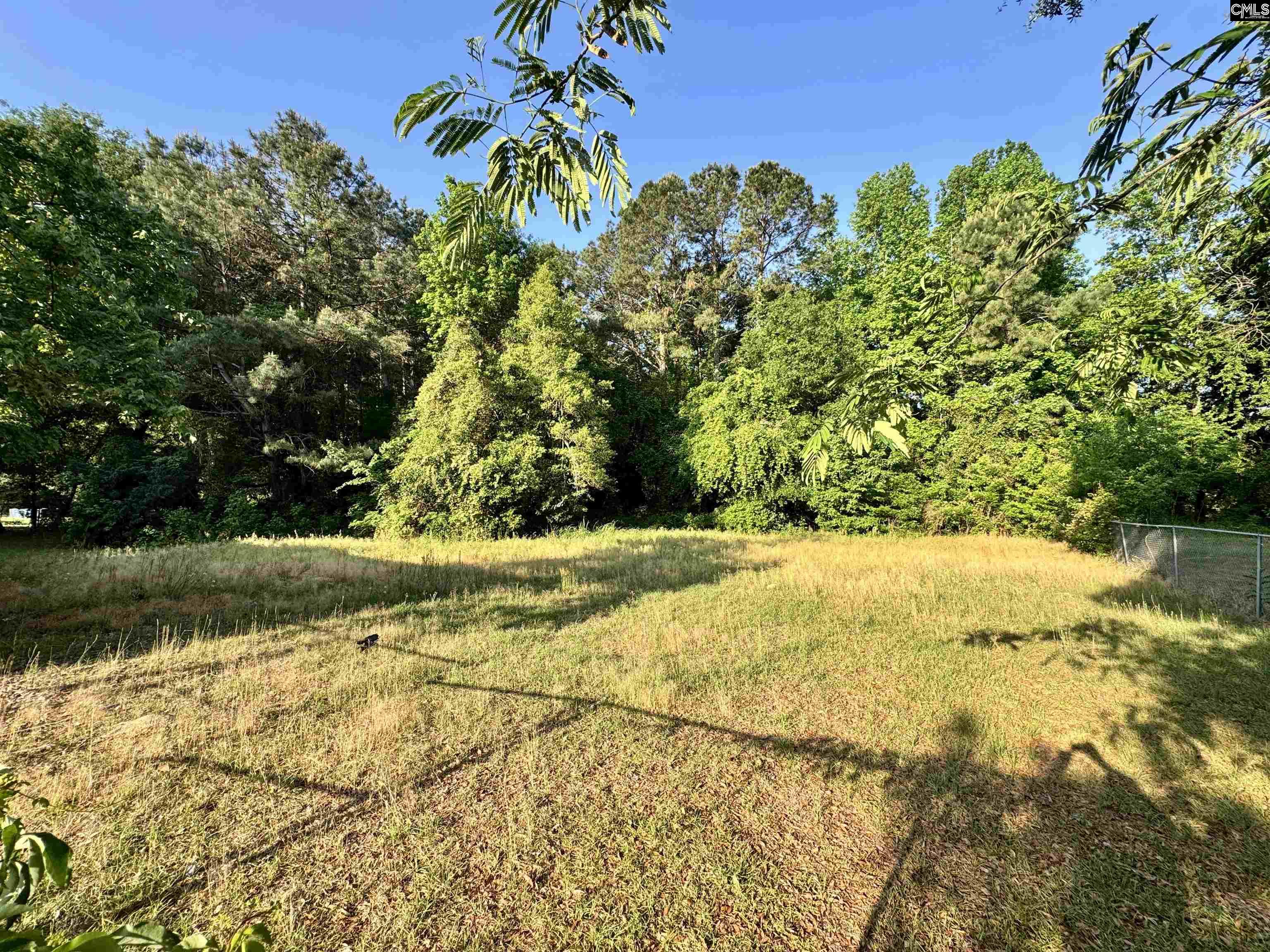 42 Sugar Hill Drive Bishopville, SC 29010-0000