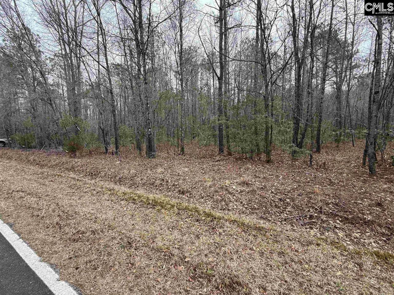 1644 Pincushion Road Columbia, SC 29209