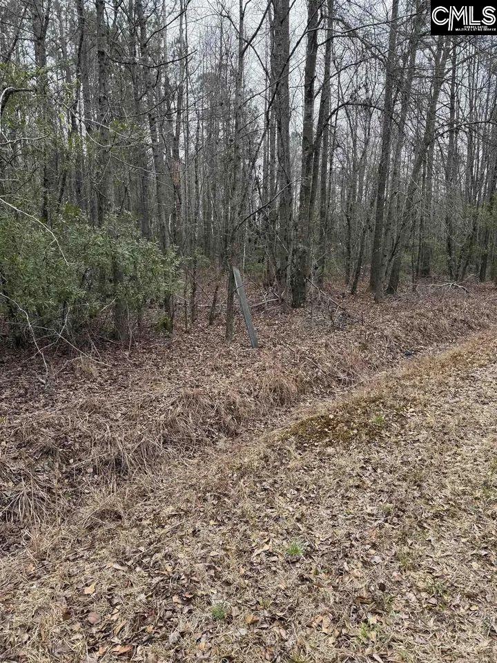1644 Pincushion Road Columbia, SC 29209