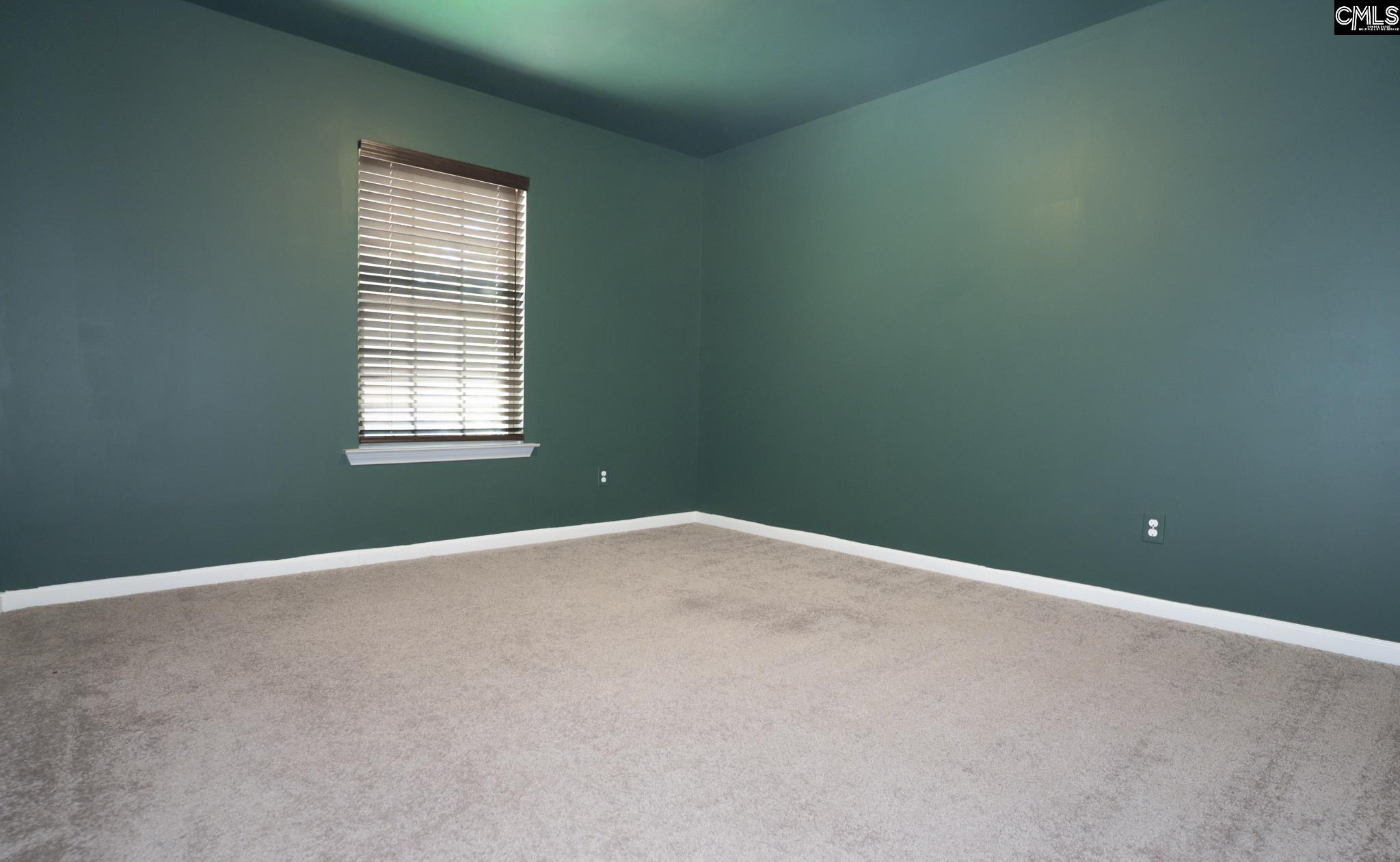 118 Pacific Avenue Chapin, SC 29036