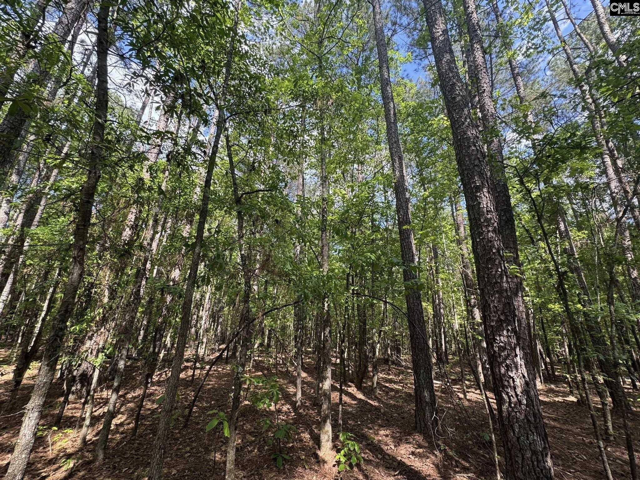 Hwy 76 W Honea Path, SC 29654