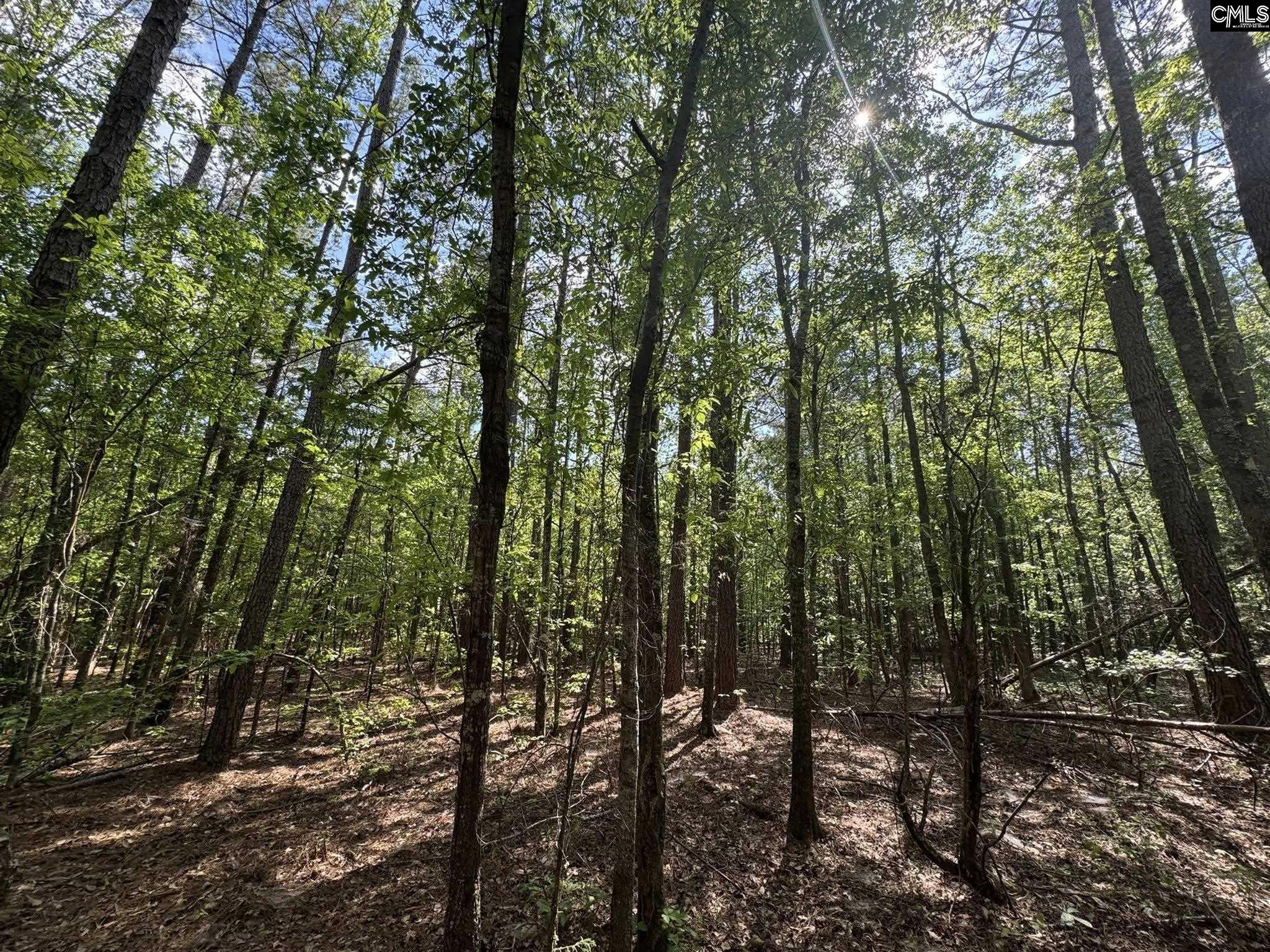 Hwy 76 W Honea Path, SC 29654