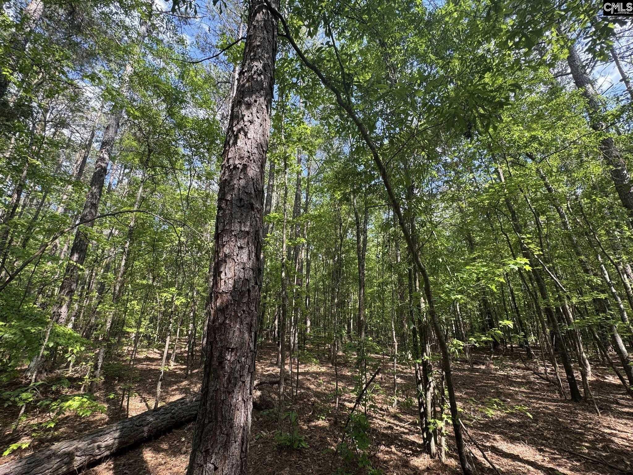 Hwy 76 W Honea Path, SC 29654