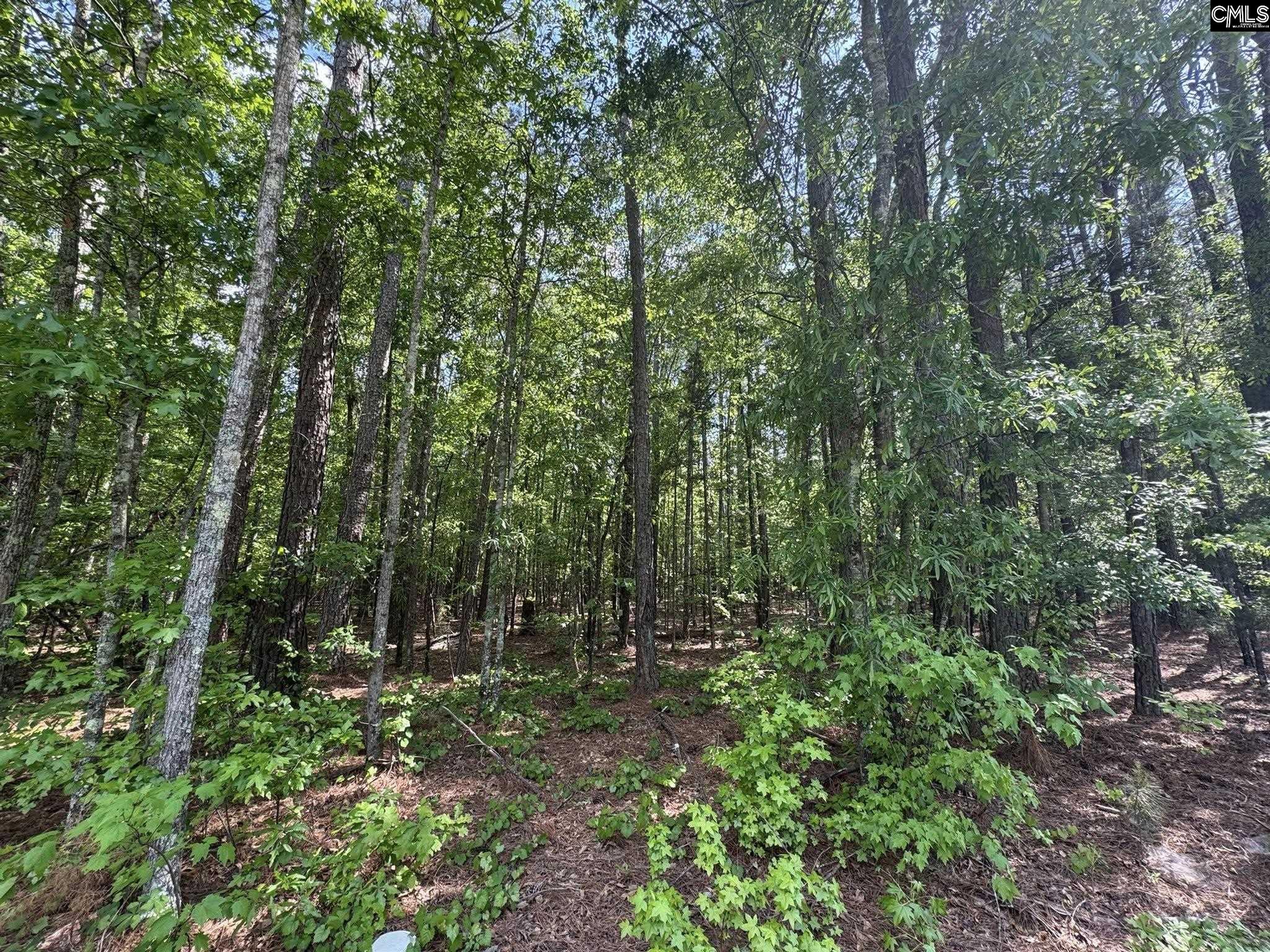 Hwy 76 W Honea Path, SC 29654