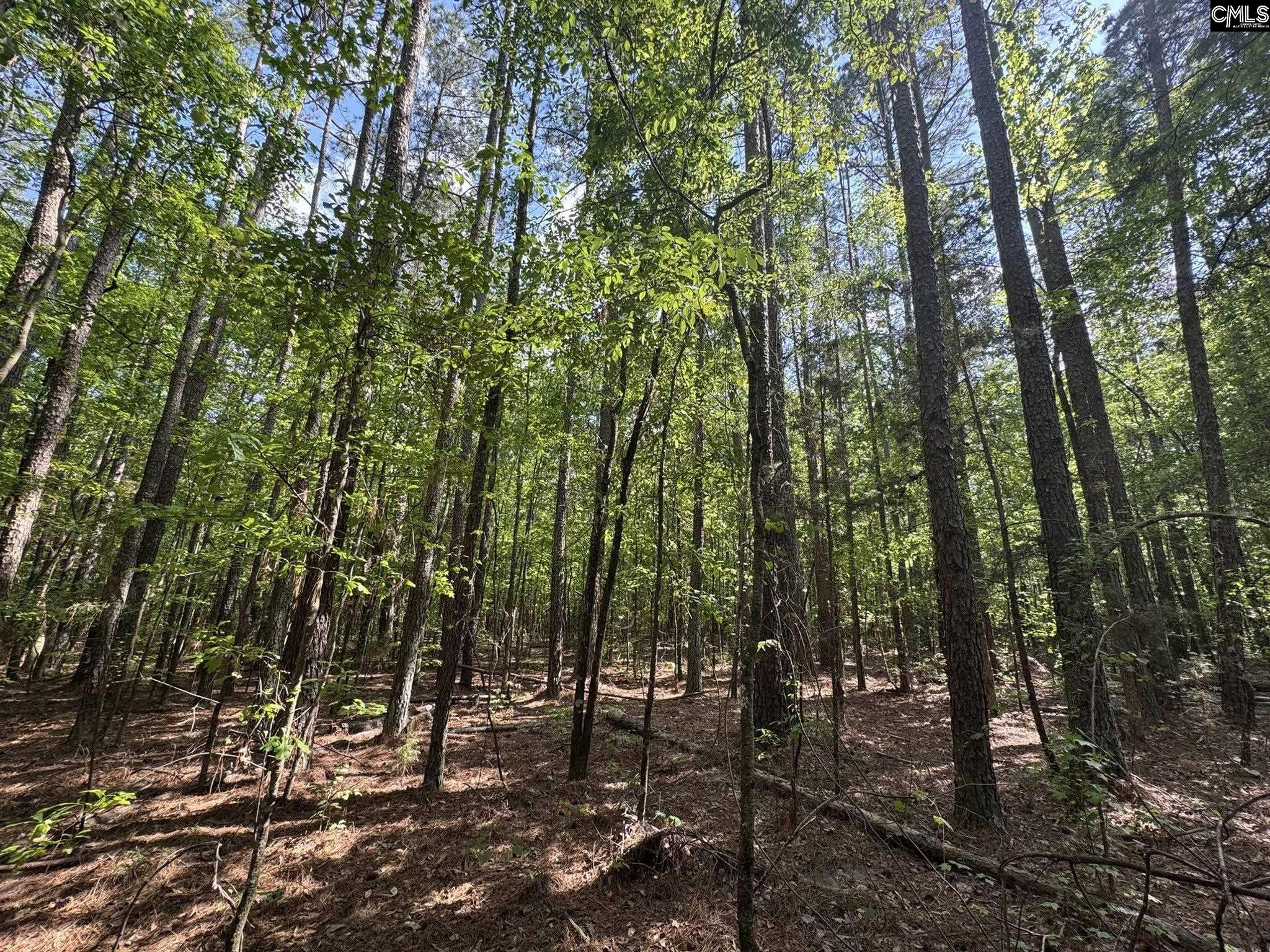 Hwy 76 W Honea Path, SC 29654