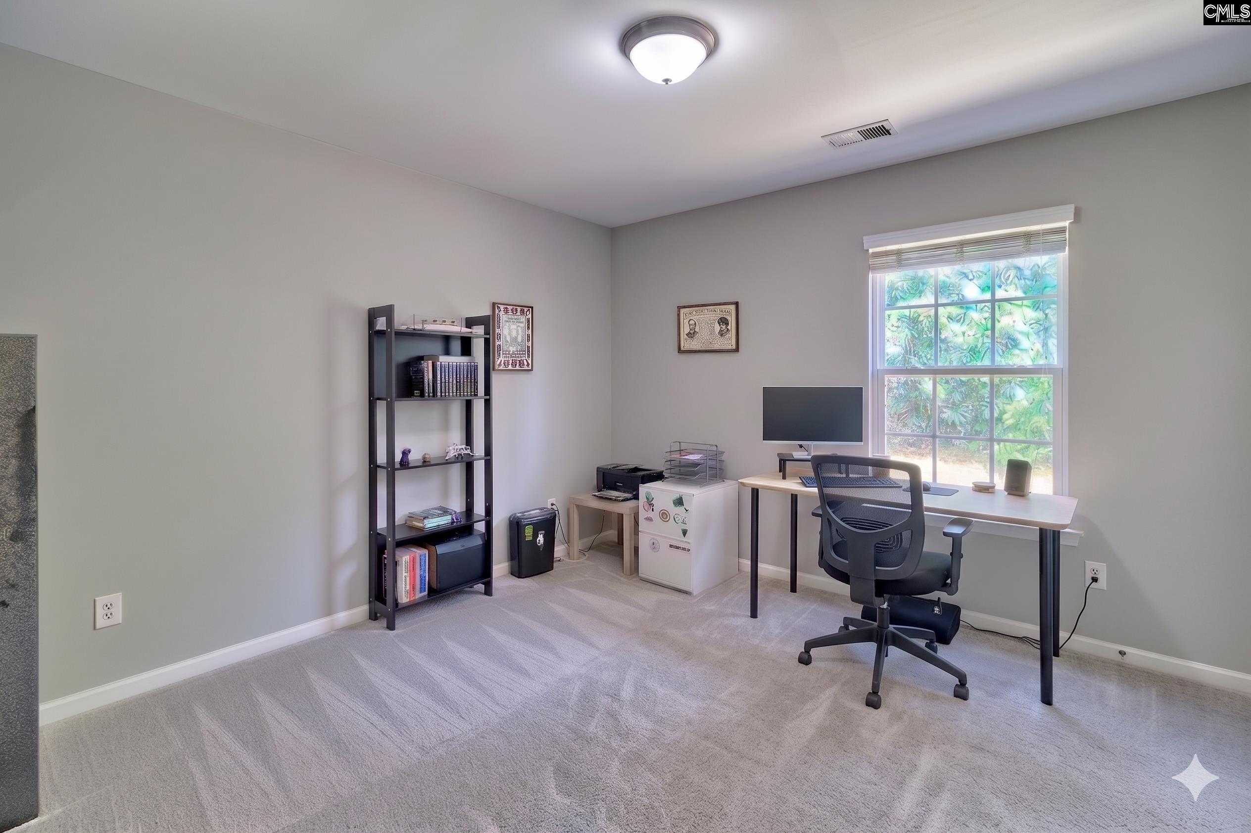 215 Eagle Pointe Drive Chapin, SC 29036