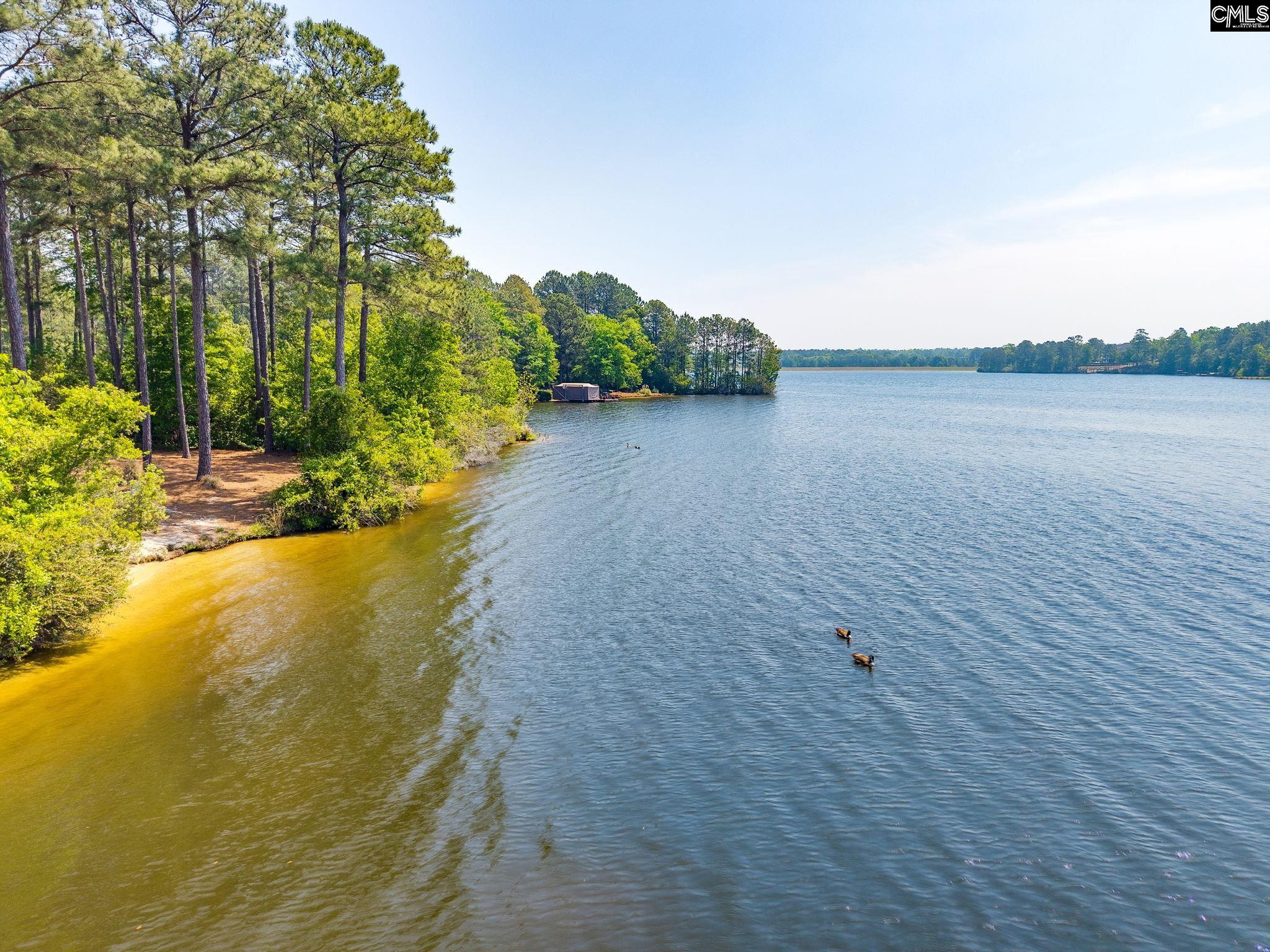 460 Harbour Pointe Drive Columbia, SC 29229