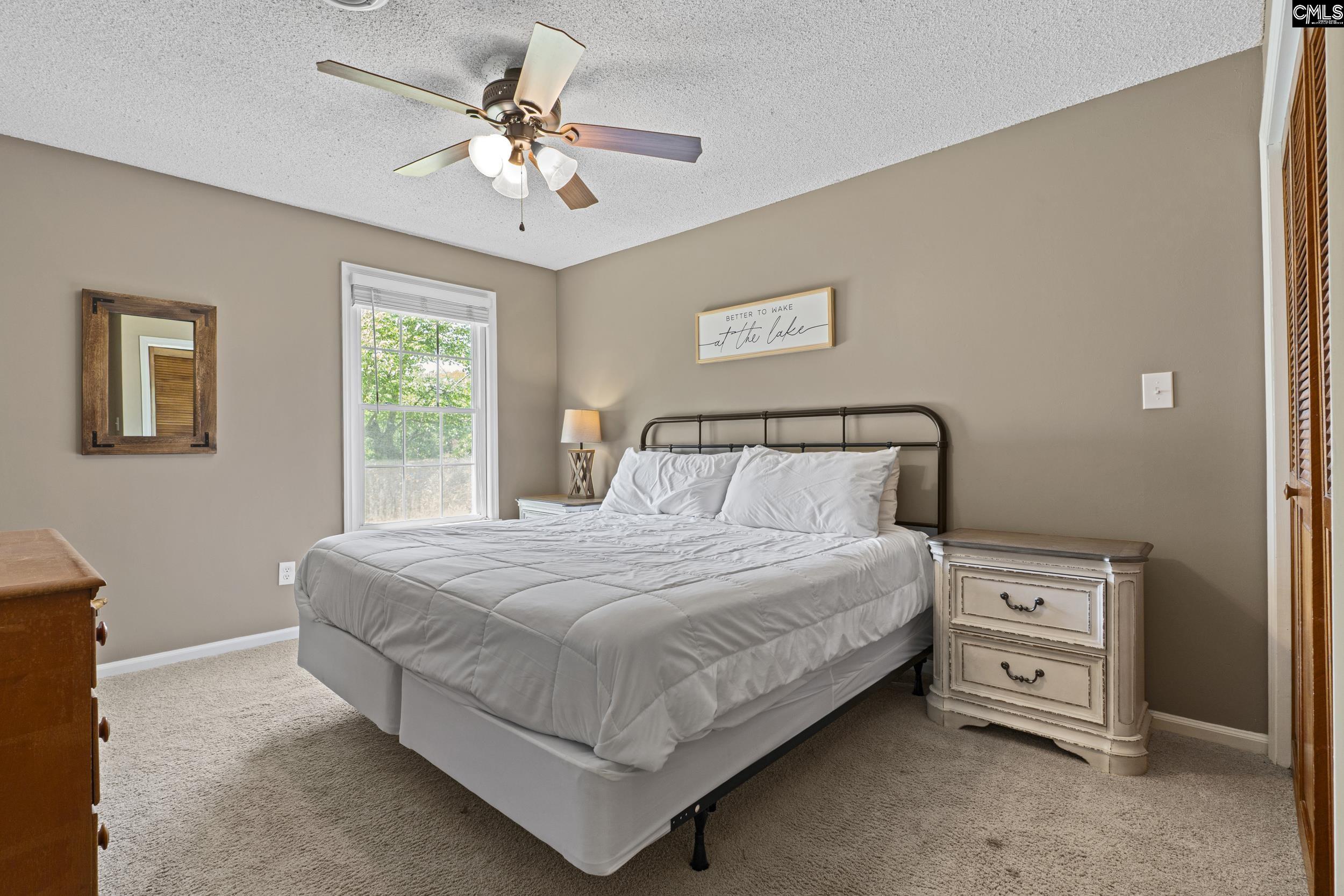 414 Wood Willow Point Chapin, SC 29036-9585