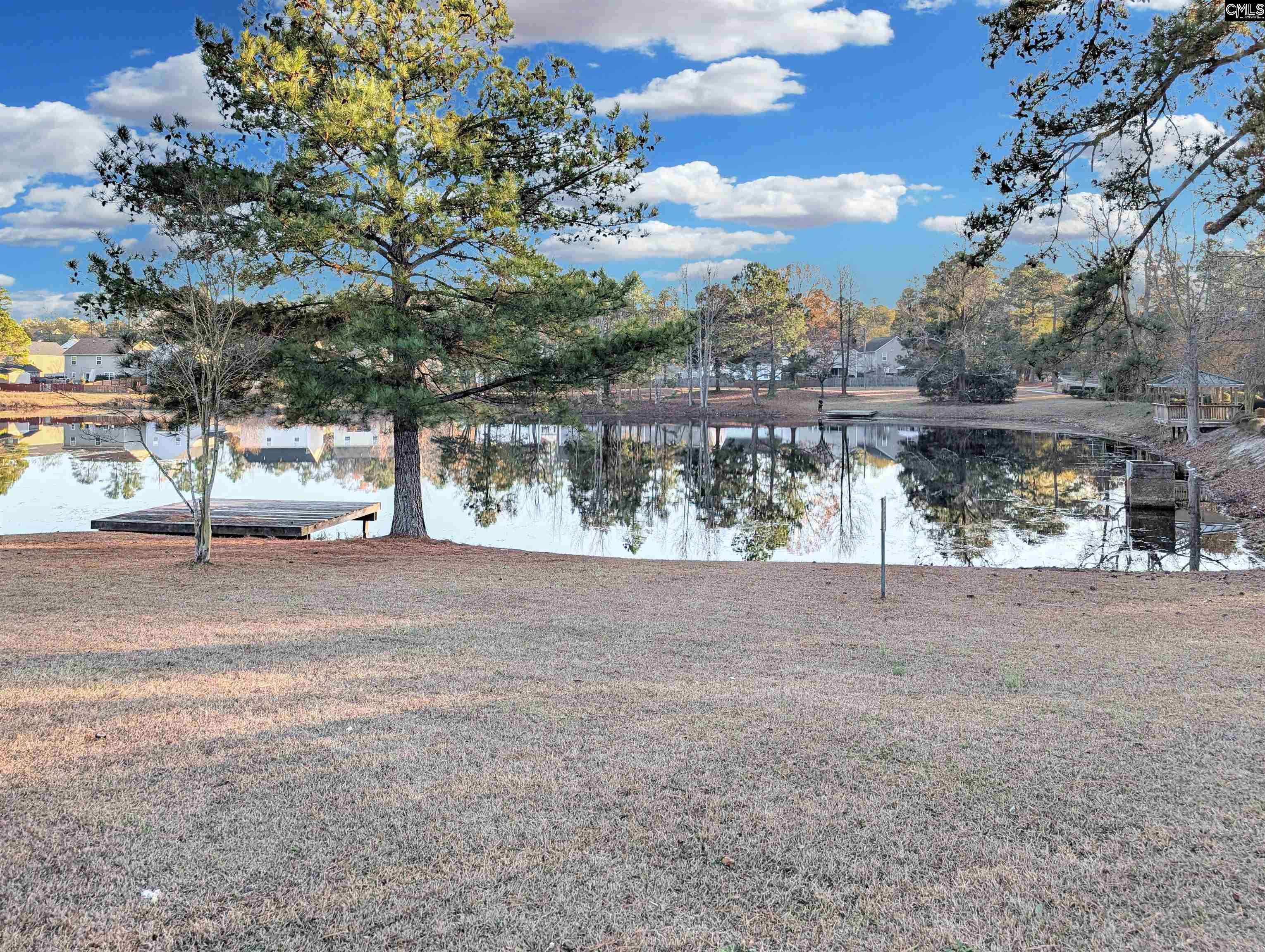 1253 Rabon Pond Columbia, SC 29223