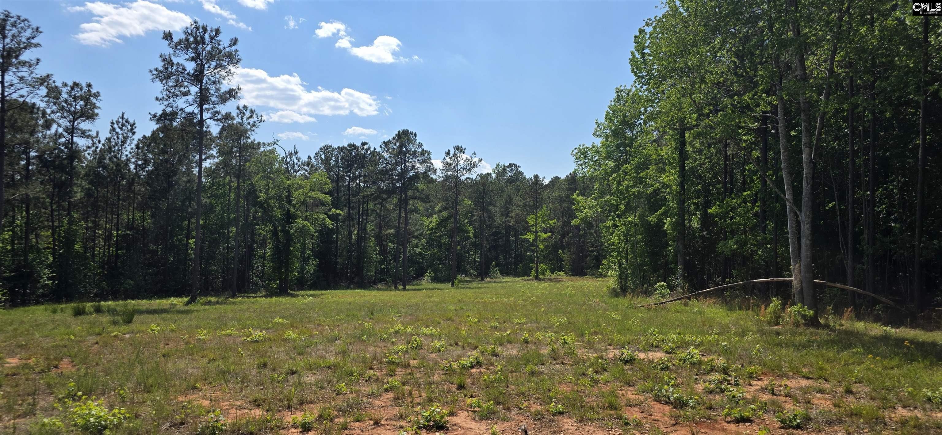 TBD Trade Mill Road UNIT #3 Winnsboro, SC 29180