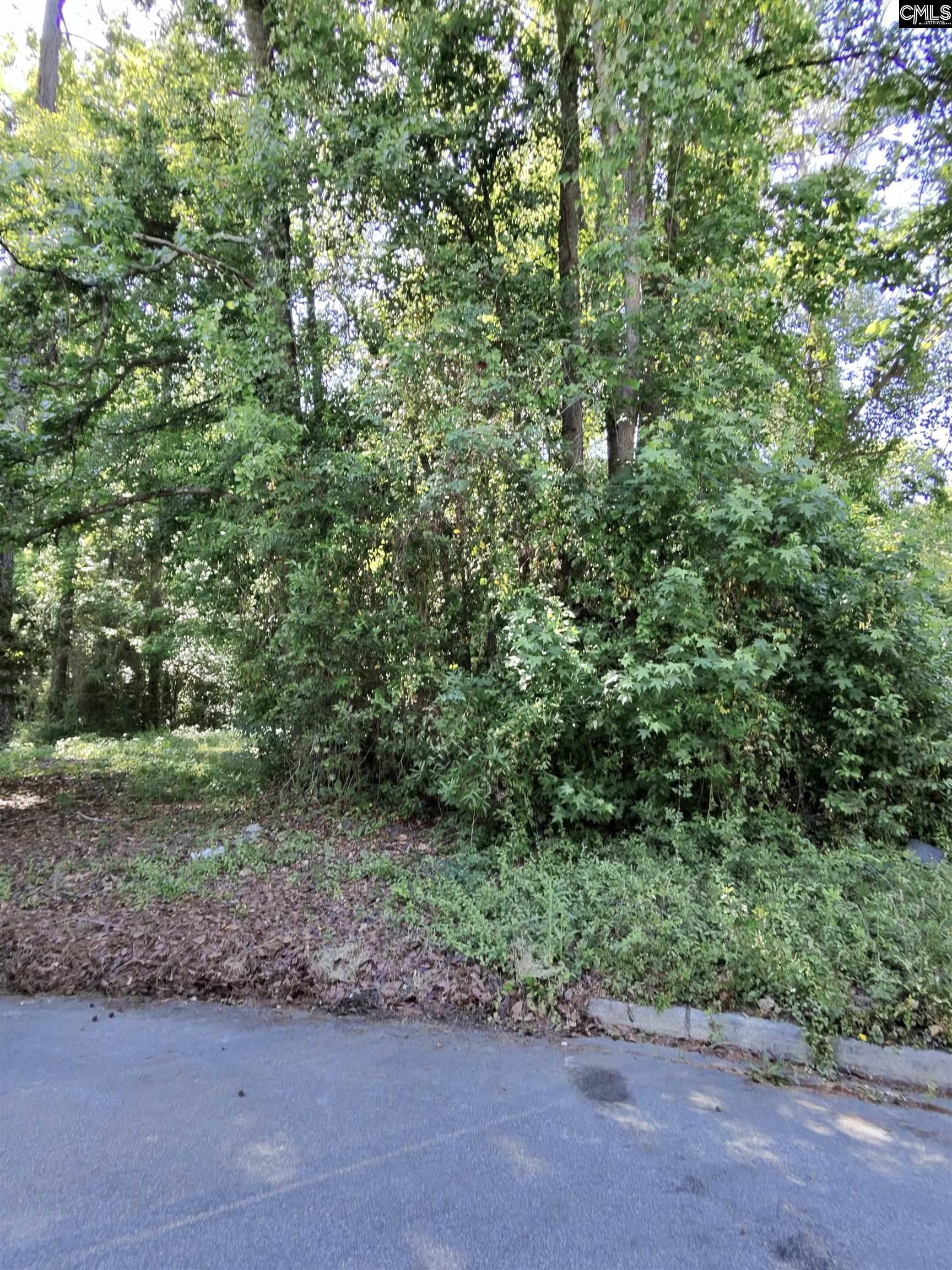 TBD Lang Road UNIT #1 Columbia, SC 29204