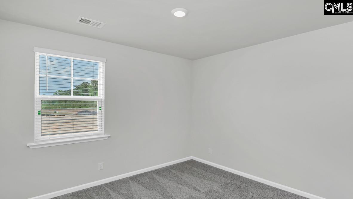 198 Ruby Prince Road Gilbert, SC 29054