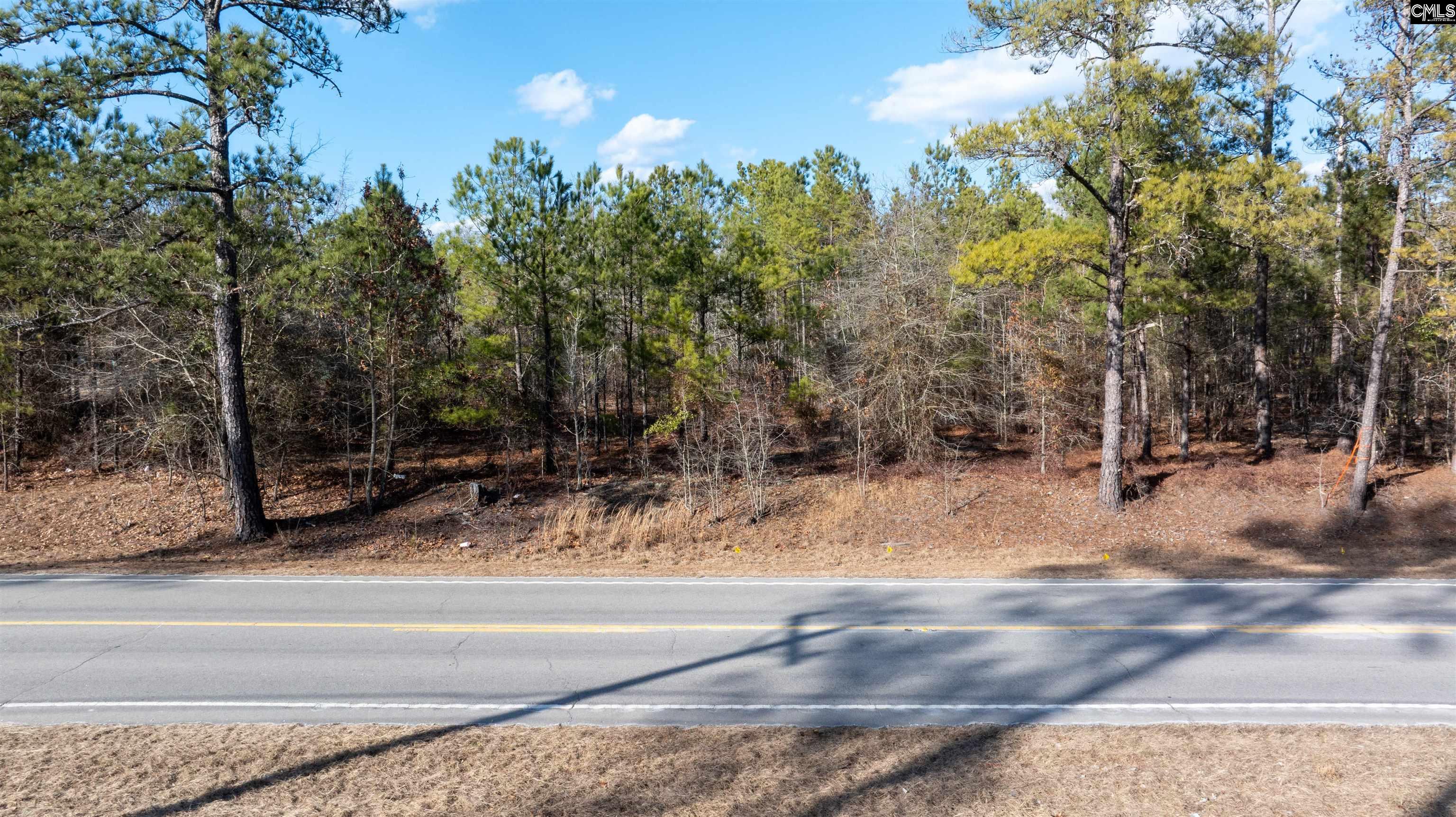 791 Langford Road Blythewood, SC 29016