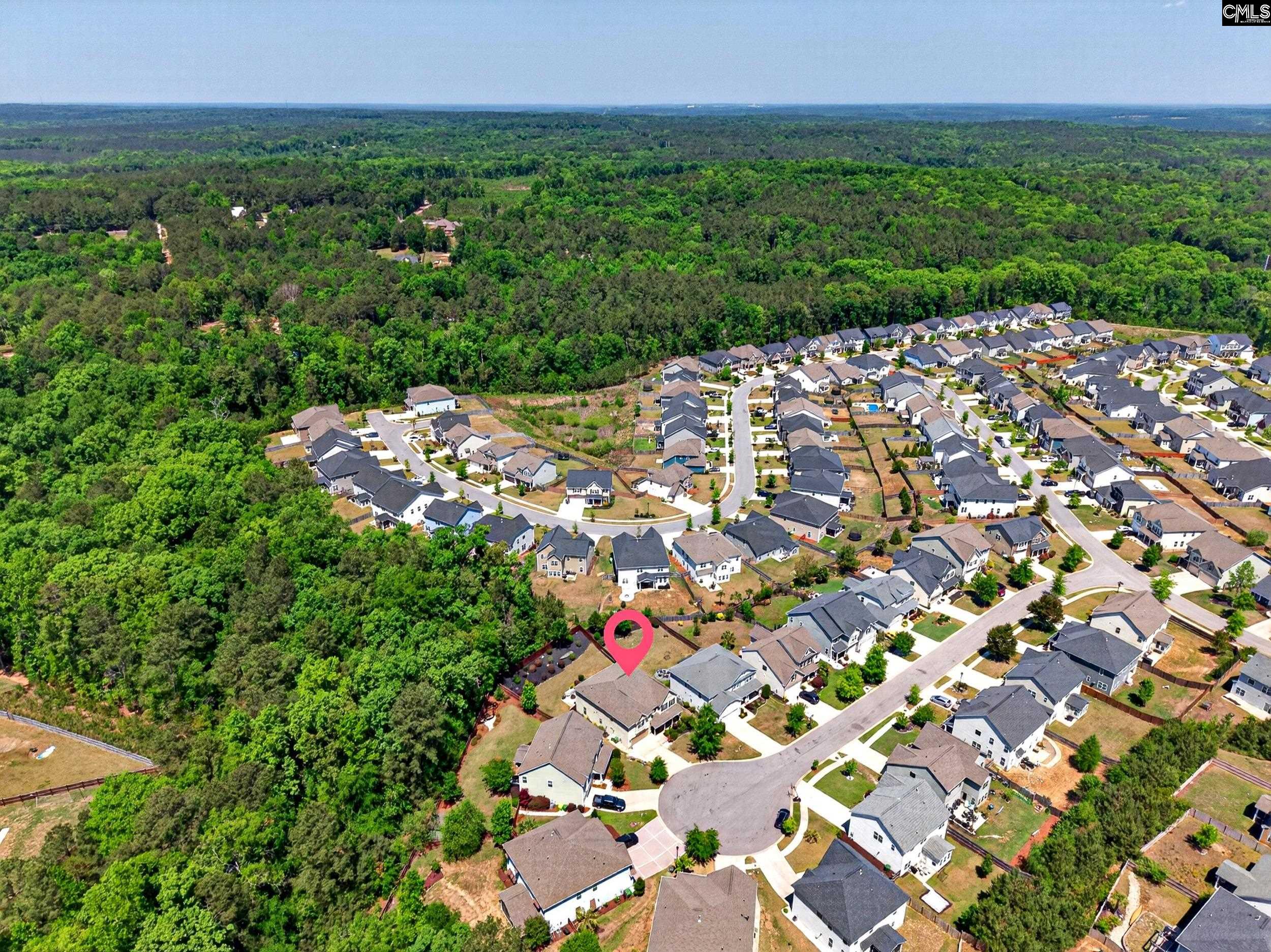 436 Maria Posada Ct Chapin, SC 29036-6300