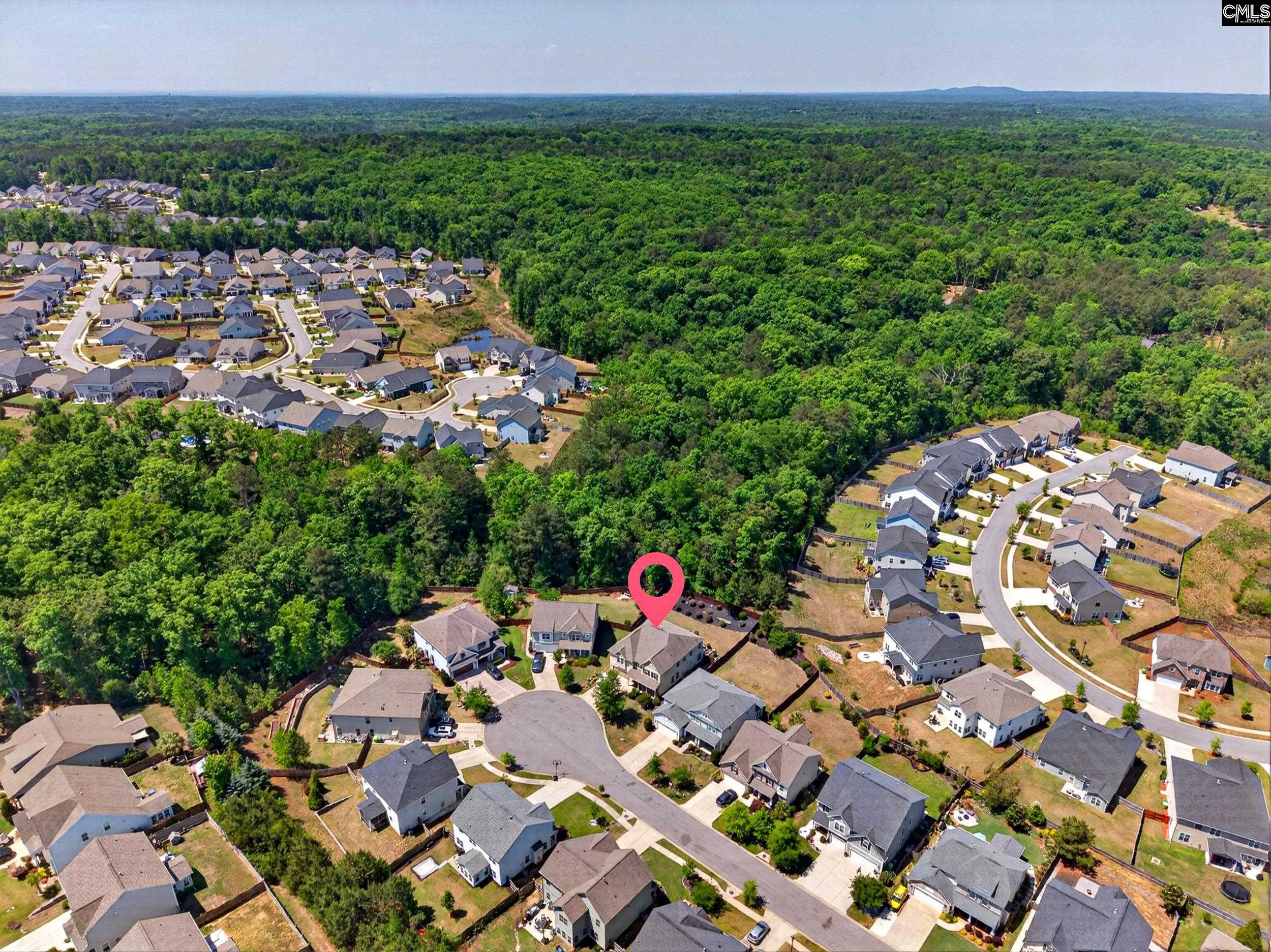 436 Maria Posada Ct Chapin, SC 29036-6300