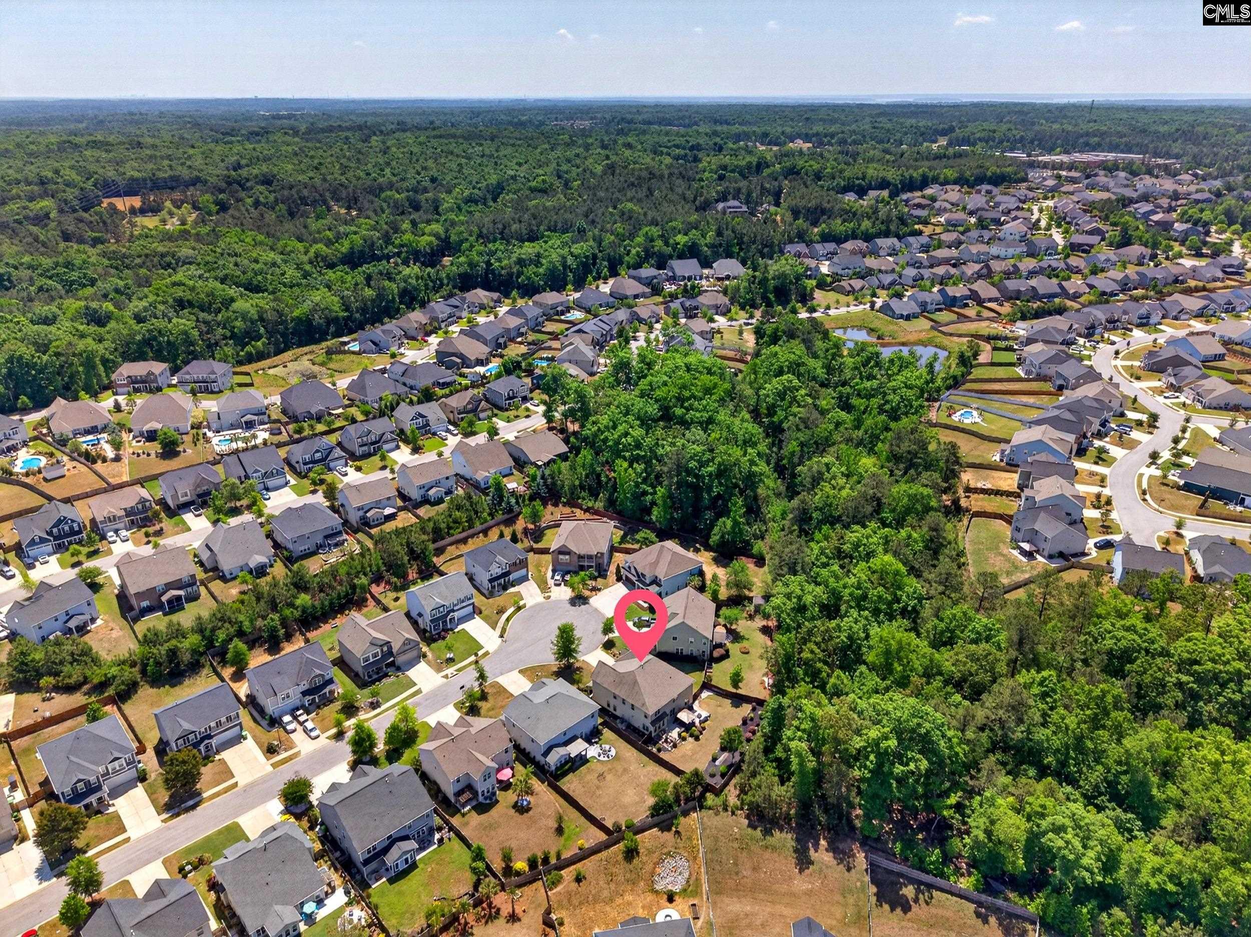436 Maria Posada Ct Chapin, SC 29036-6300