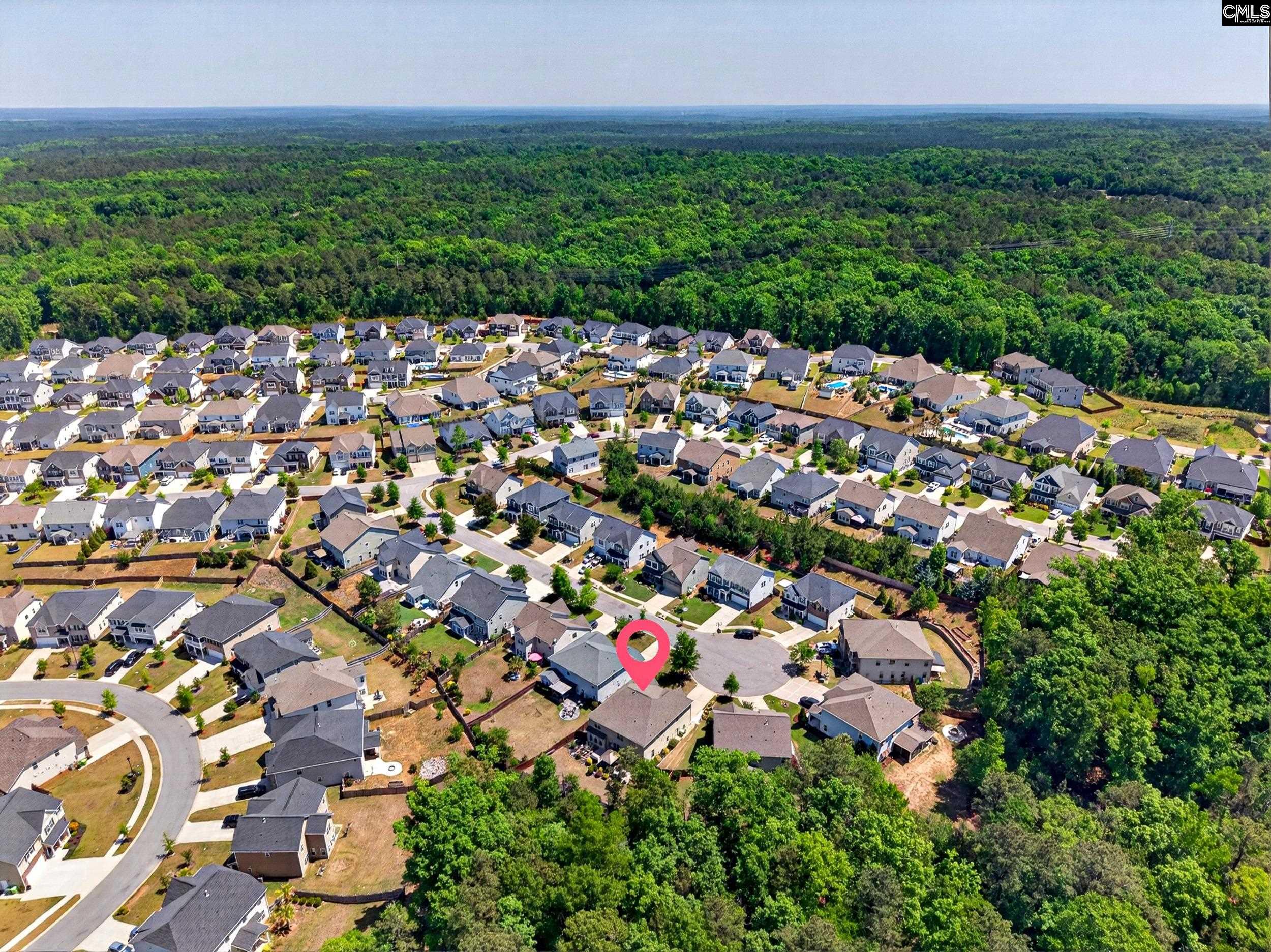 436 Maria Posada Ct Chapin, SC 29036-6300
