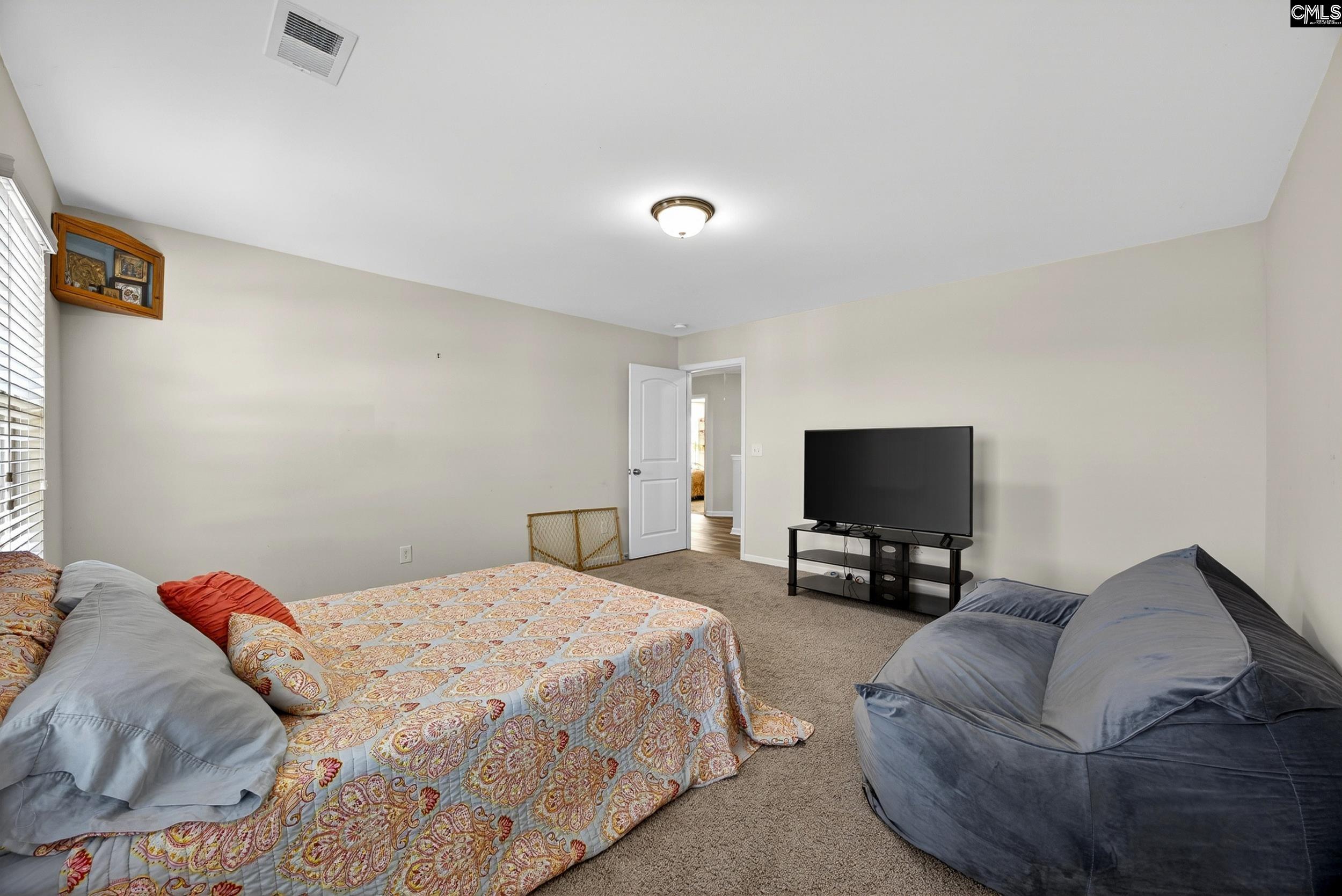 436 Maria Posada Ct Chapin, SC 29036-6300
