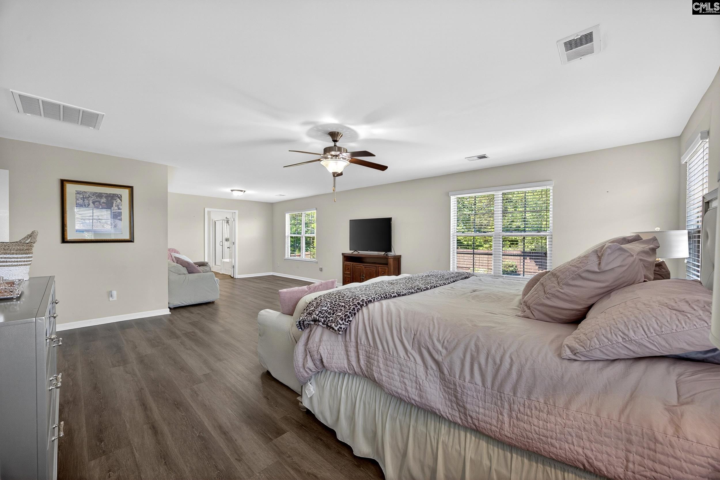 436 Maria Posada Ct Chapin, SC 29036-6300