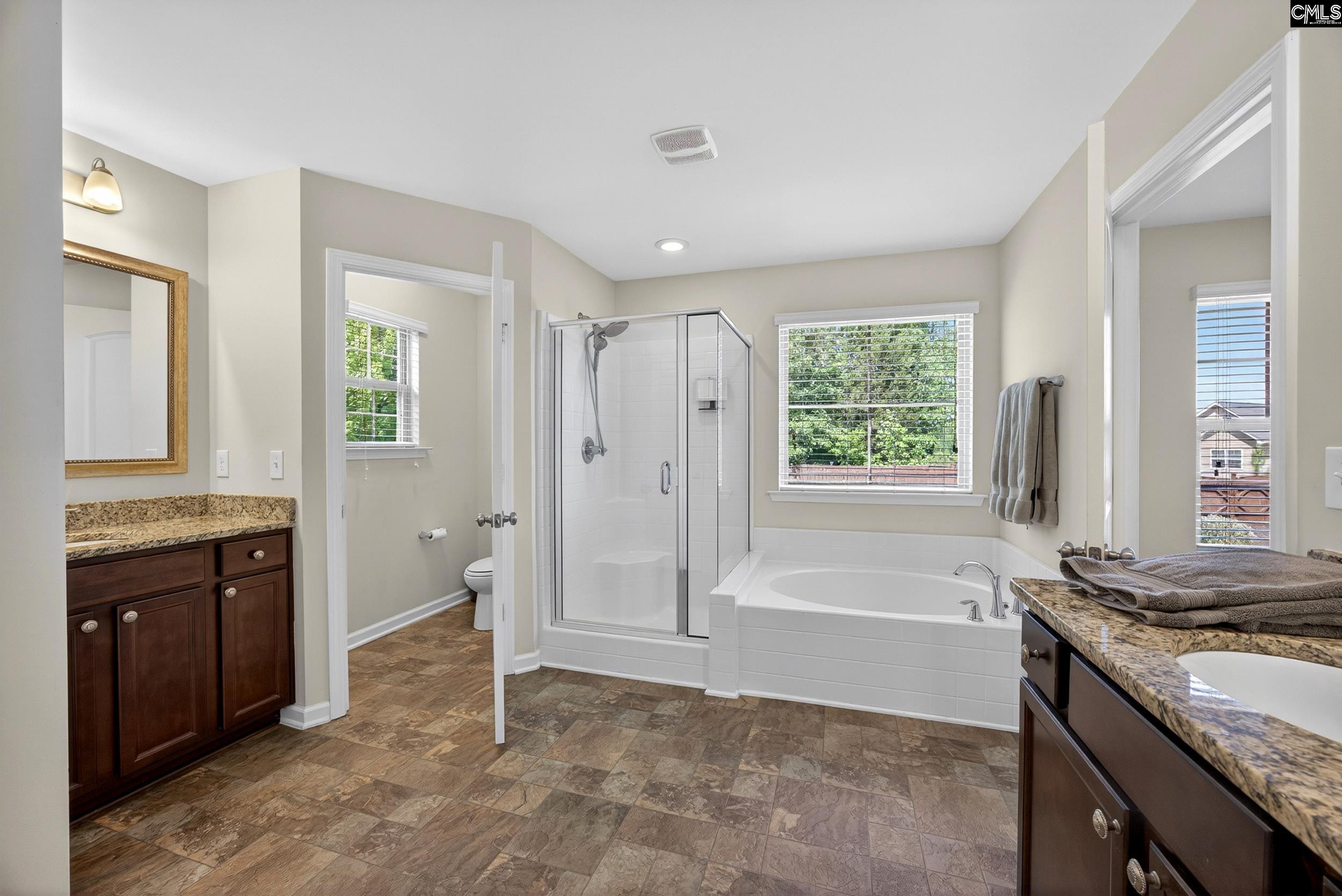 436 Maria Posada Ct Chapin, SC 29036-6300