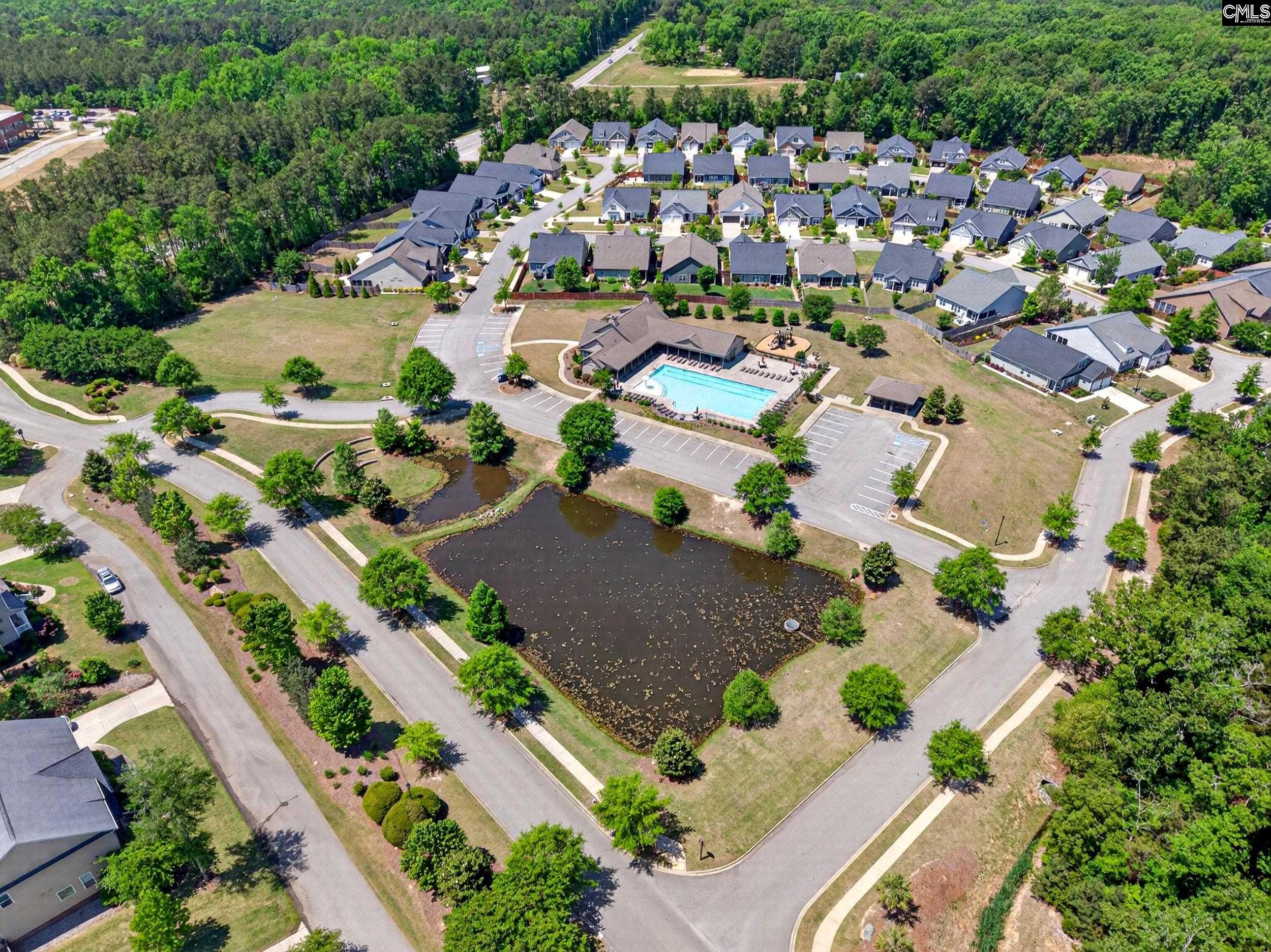 436 Maria Posada Ct Chapin, SC 29036-6300