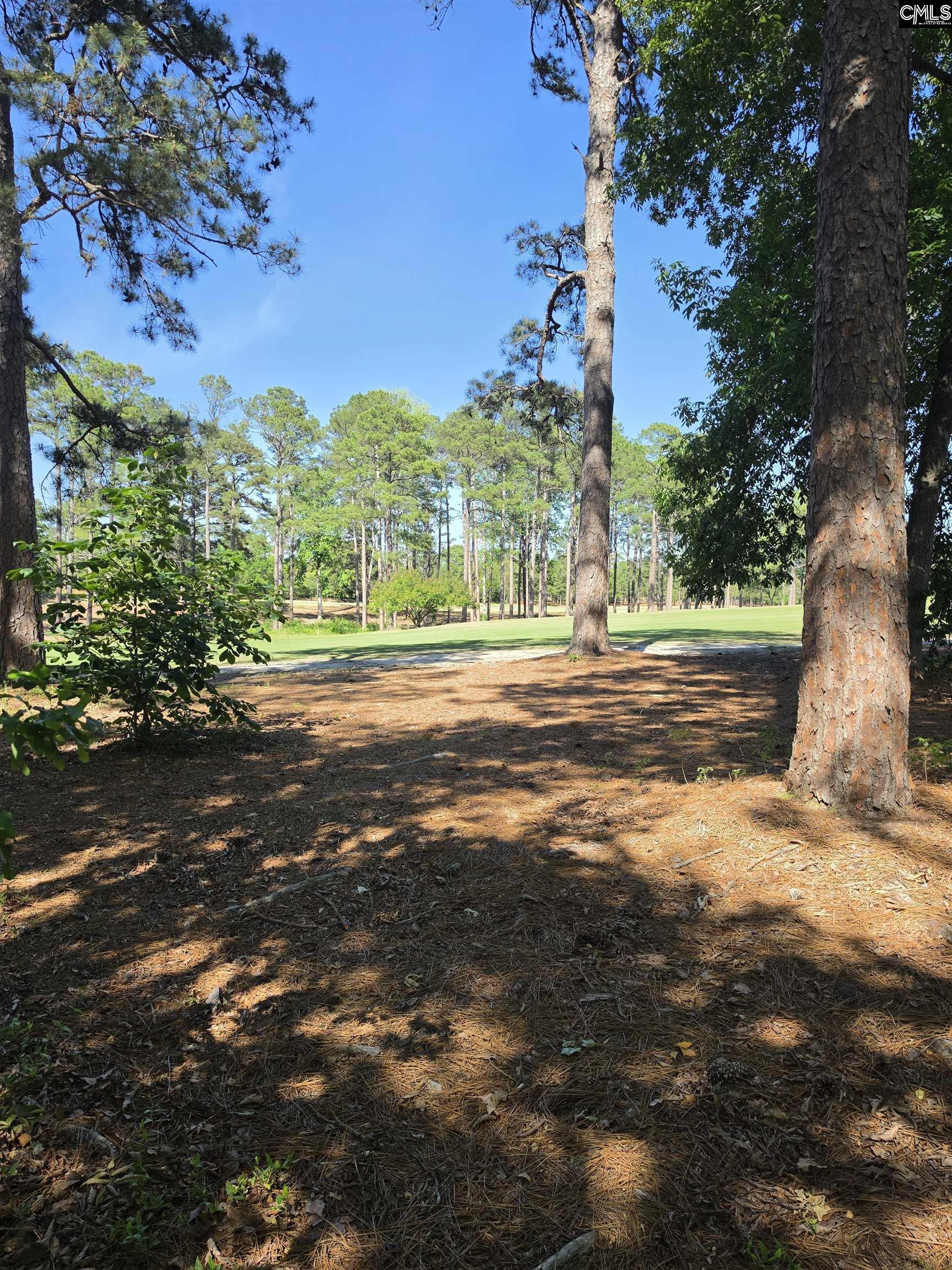 122 Creekside Cottage Court Blythewood, SC 29016