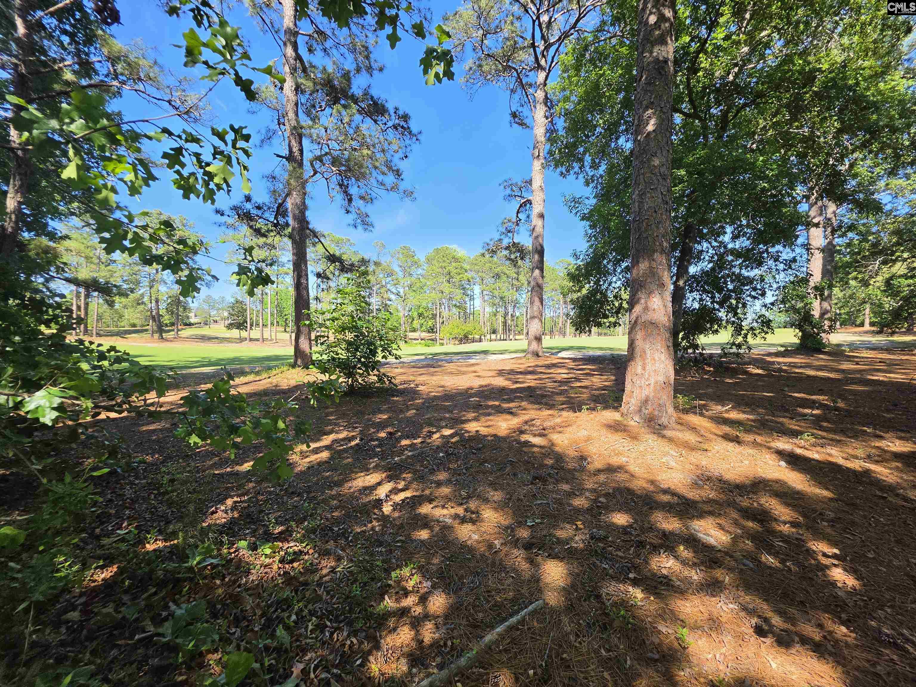 122 Creekside Cottage Court Blythewood, SC 29016