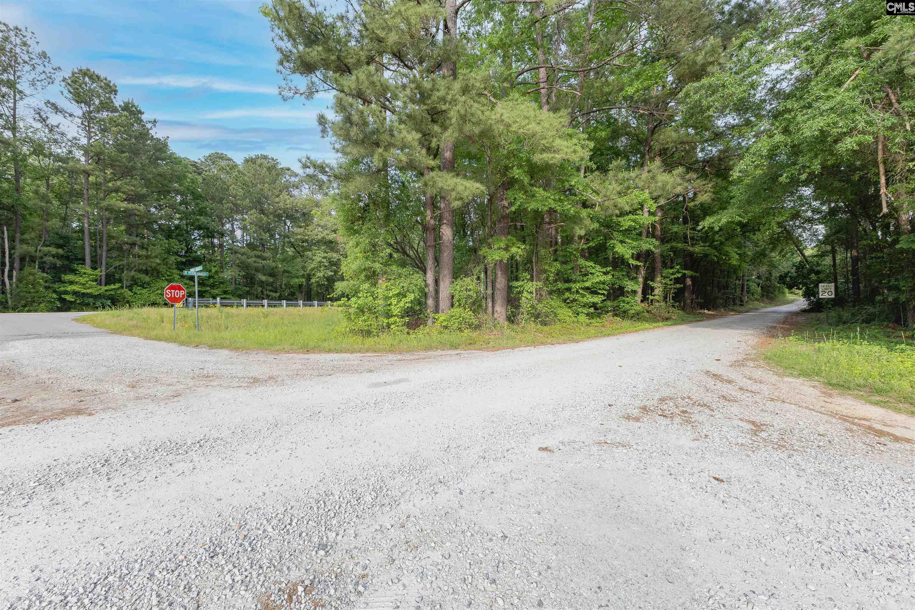 TBD St. Peters Church Road Chapin, SC 29036