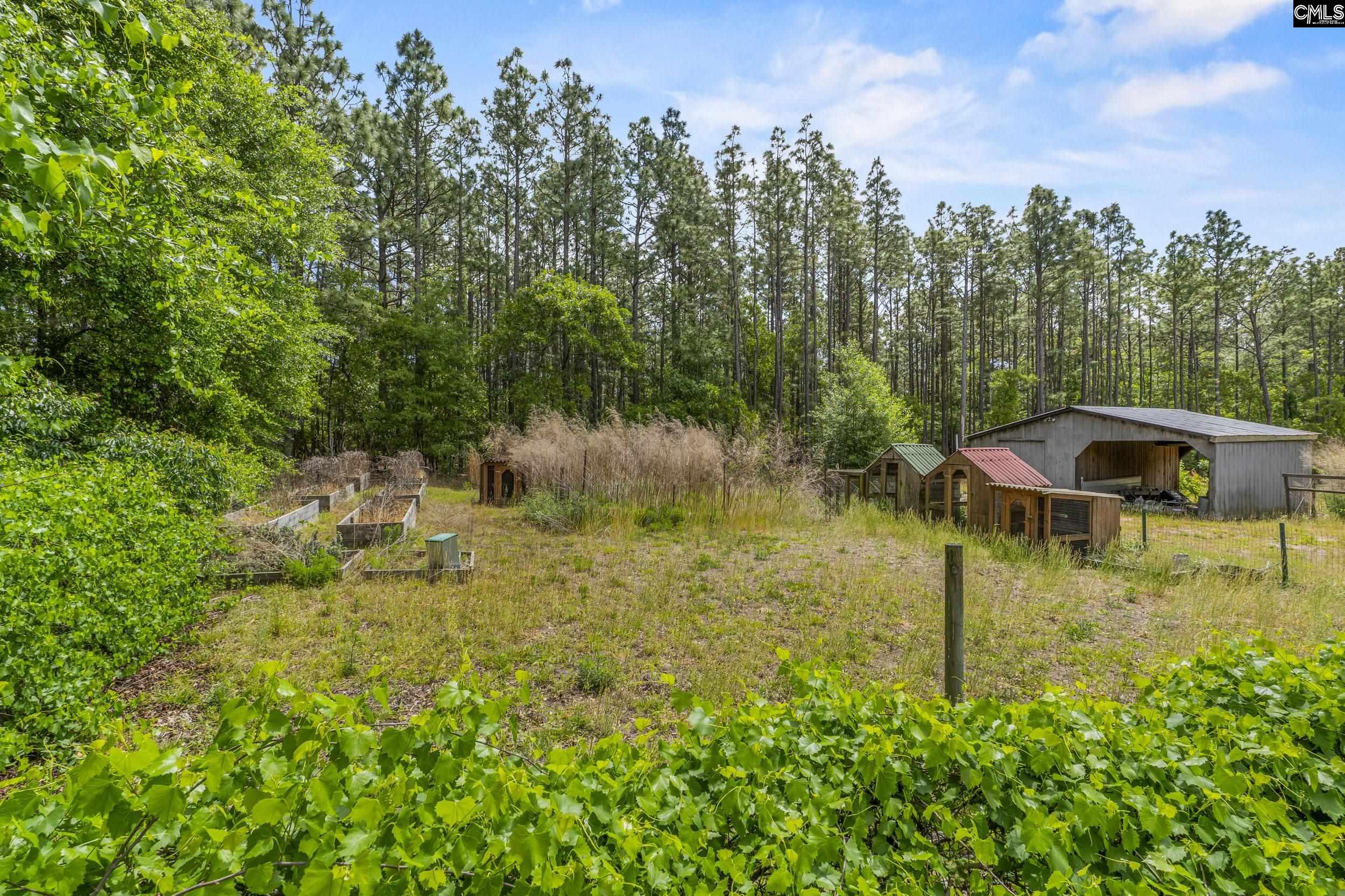 1221 Martin Smith Road Gilbert, SC 29054