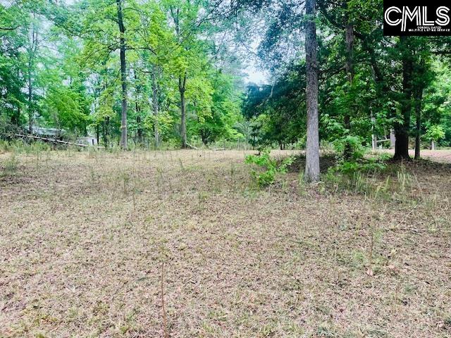 1172 Lake Drive UNIT 293-296 Leesville, SC 29070