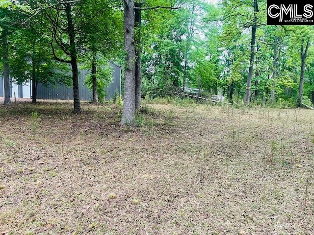 1172 Lake Drive UNIT 293-296 Leesville, SC 29070