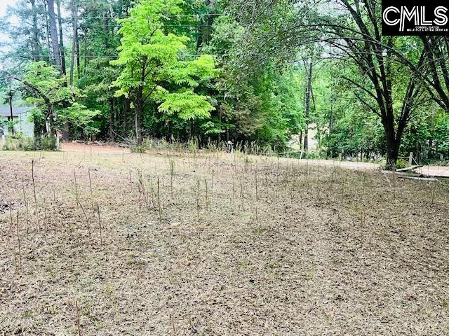 1172 Lake Drive UNIT 293-296 Leesville, SC 29070