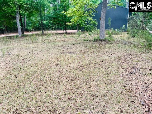 1172 Lake Drive UNIT 293-296 Leesville, SC 29070