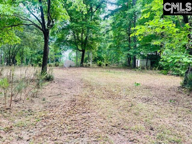 1172 Lake Drive UNIT 293-296 Leesville, SC 29070