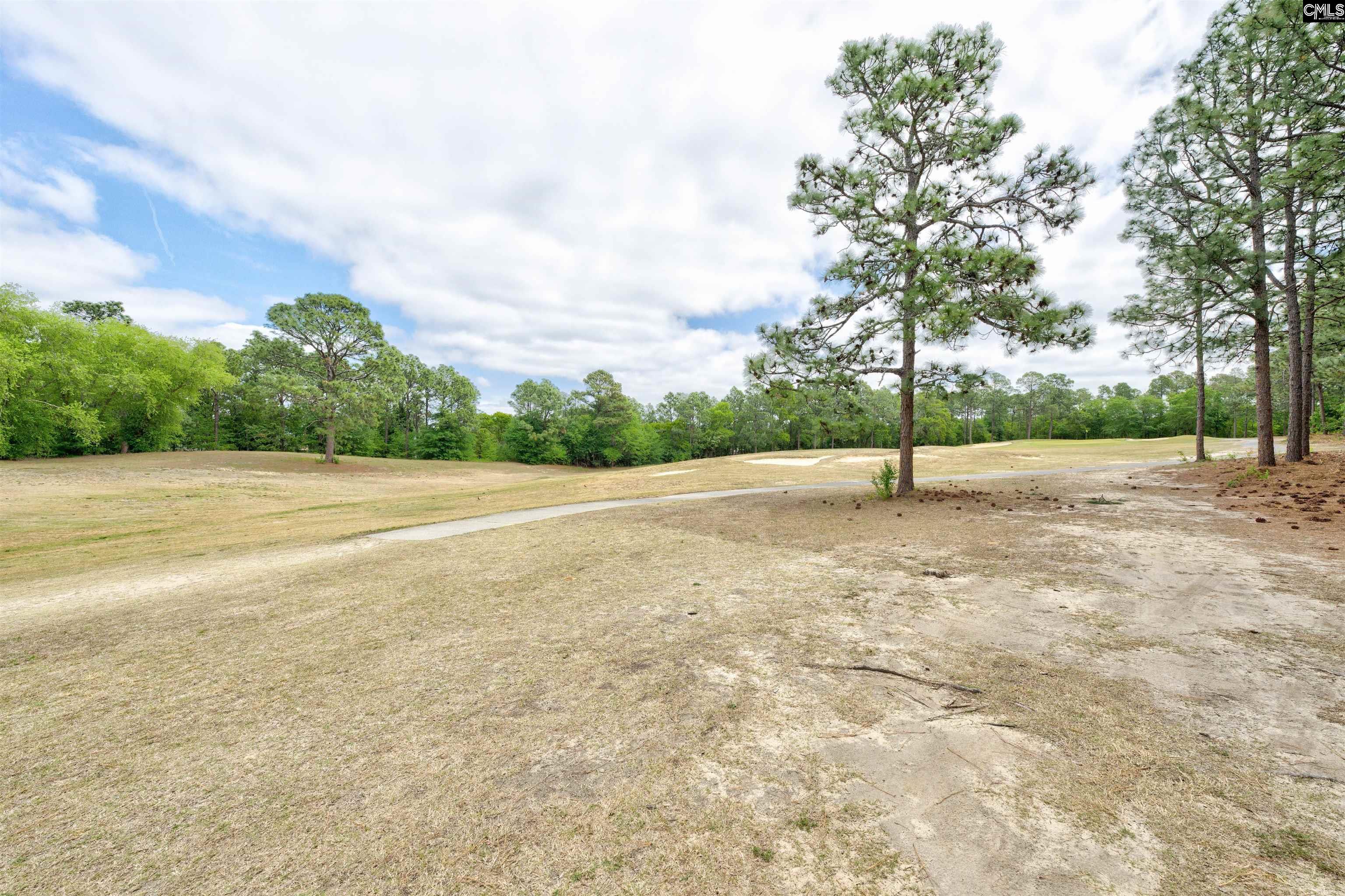 25 Baldur Court Columbia, SC 29223