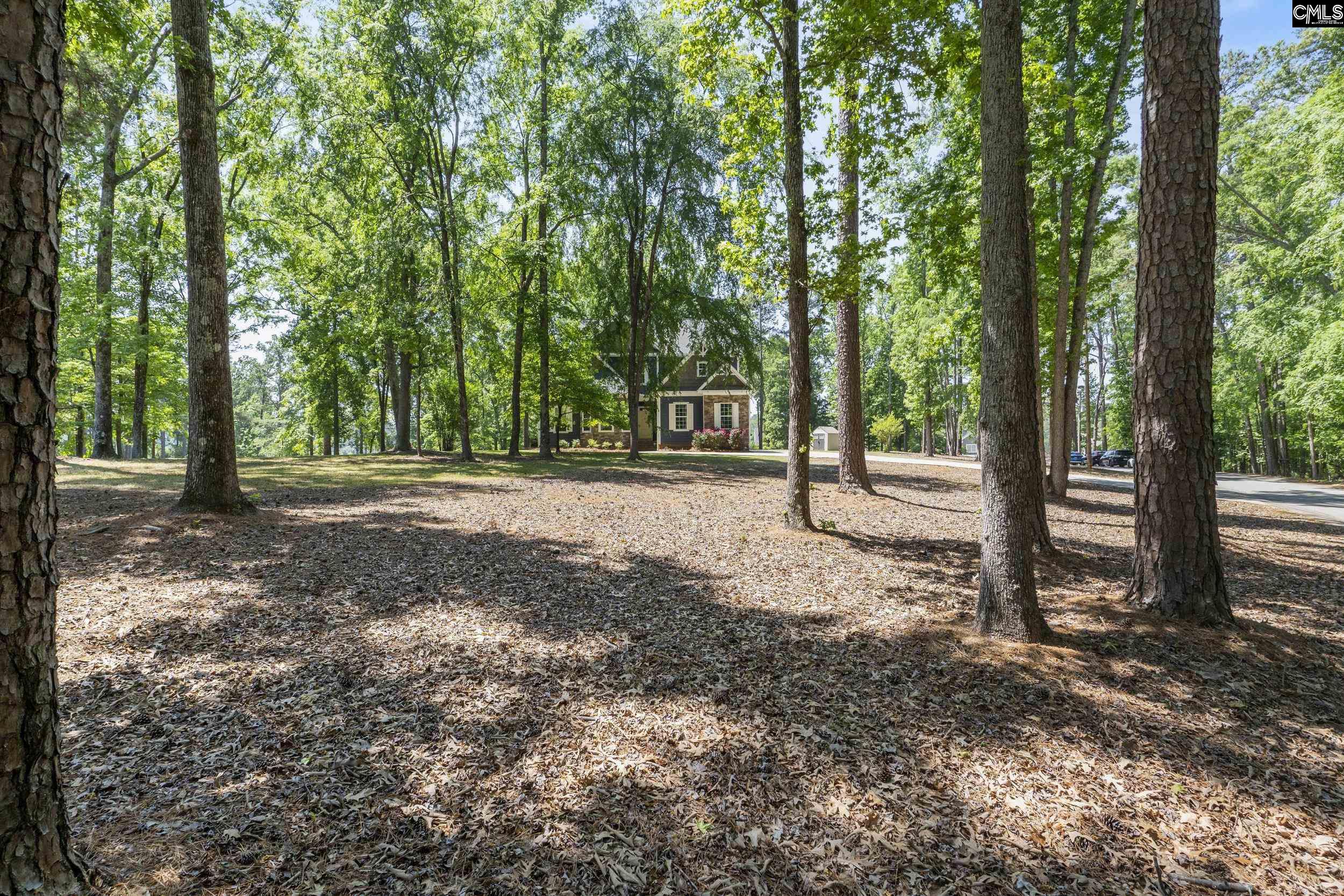 625 Mallard Drive Chapin, SC 29036