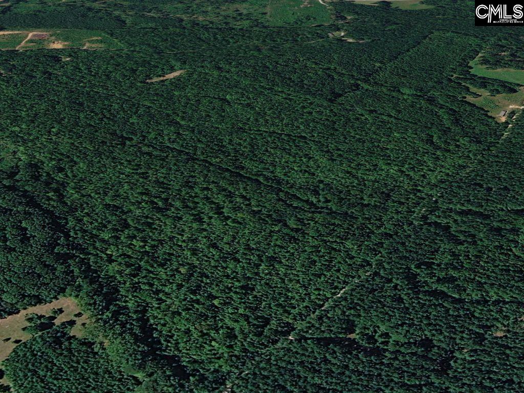 Plumb Branch Road Saluda, SC 29138