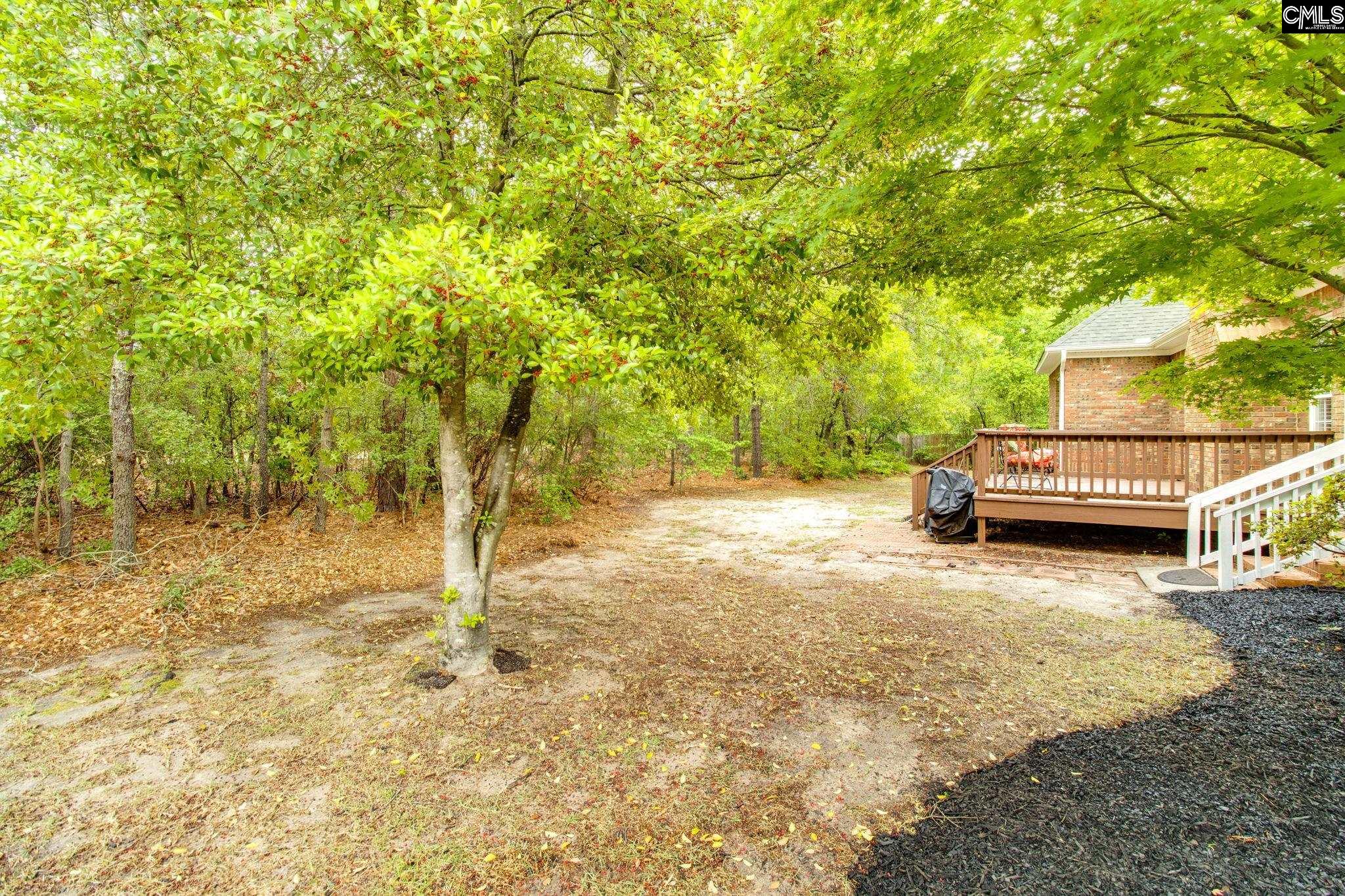 11 Hilltopper Court Blythewood, SC 29016
