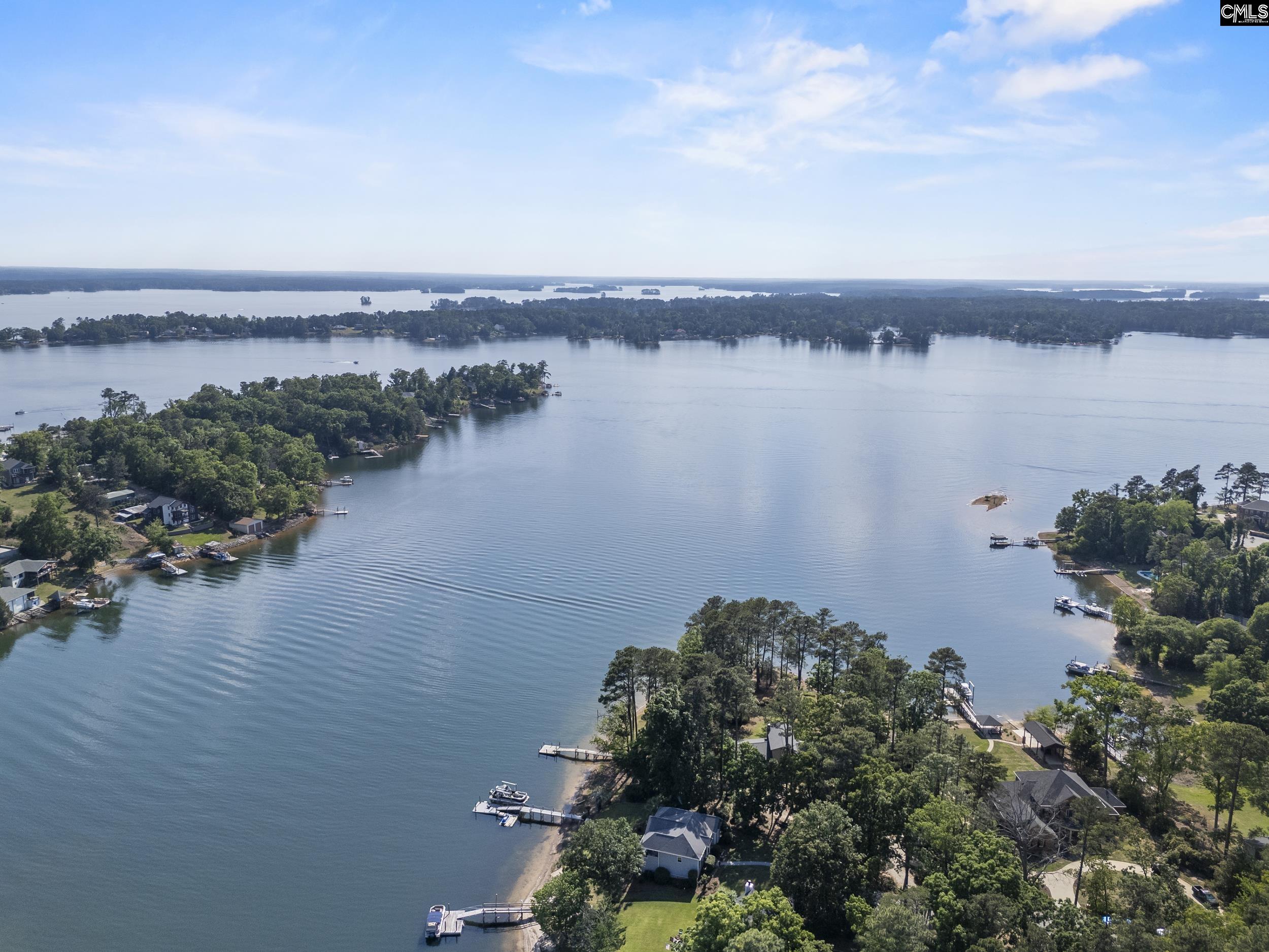 315 Old Landing Court Chapin, SC 29036
