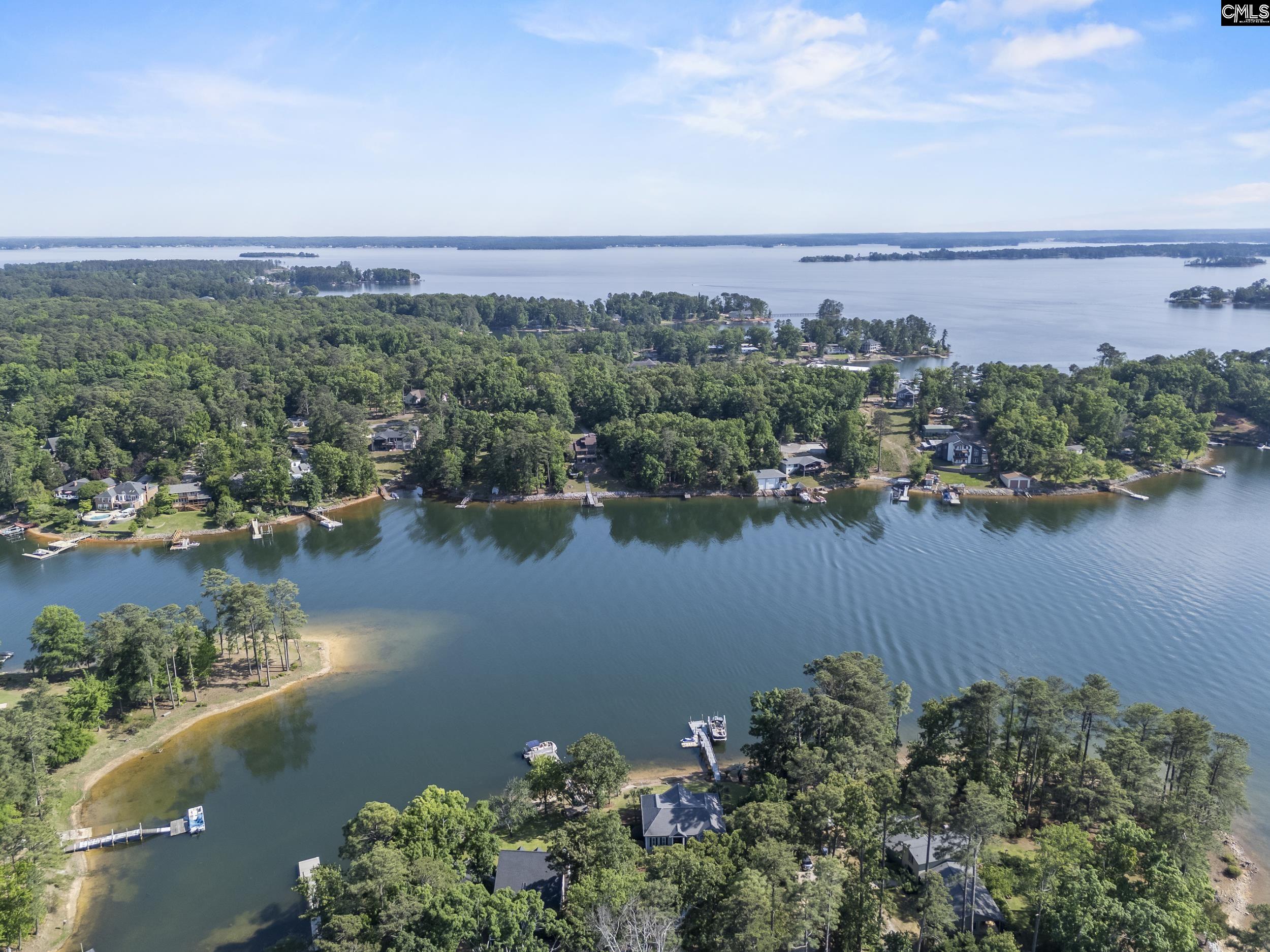 315 Old Landing Court Chapin, SC 29036