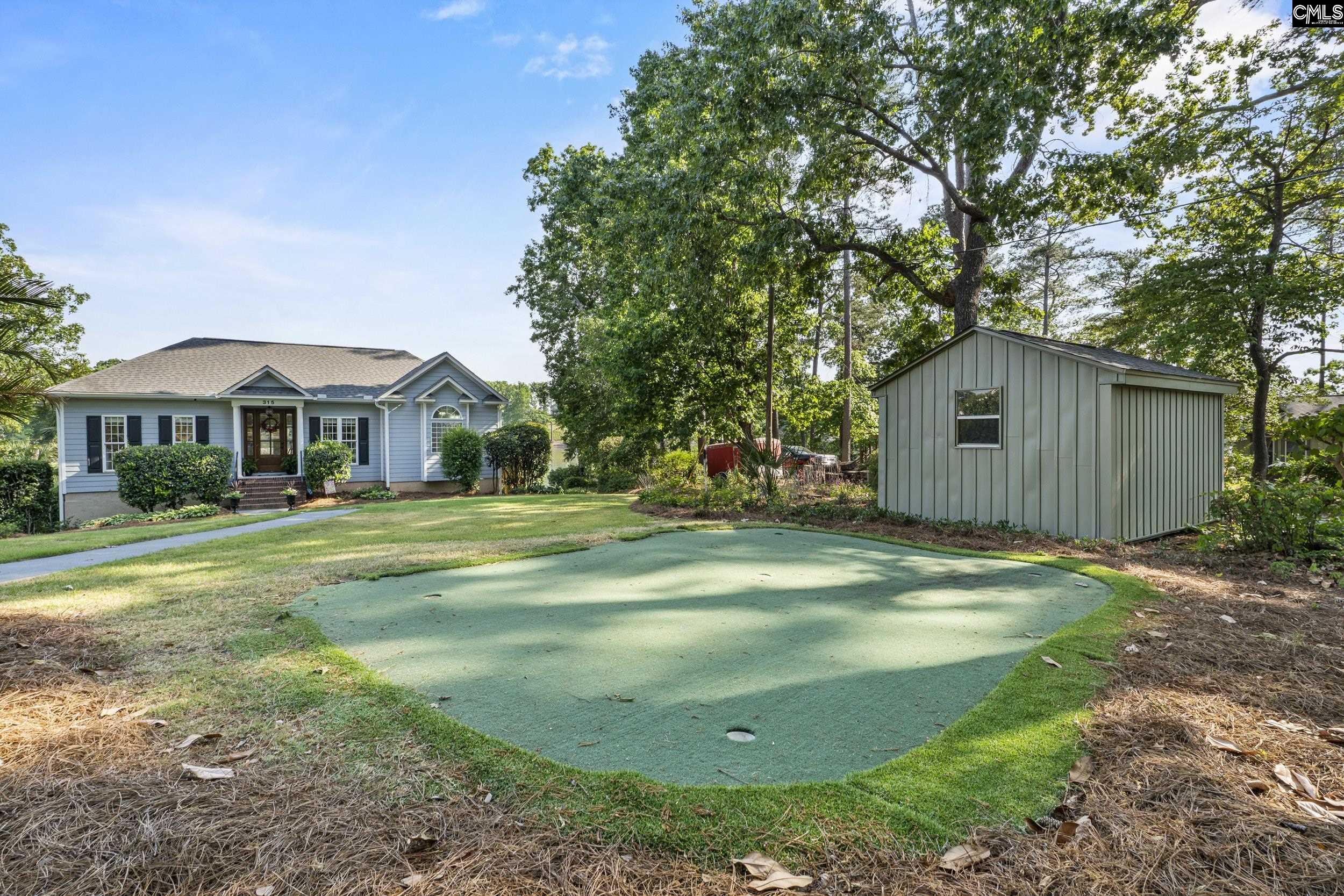 315 Old Landing Court Chapin, SC 29036