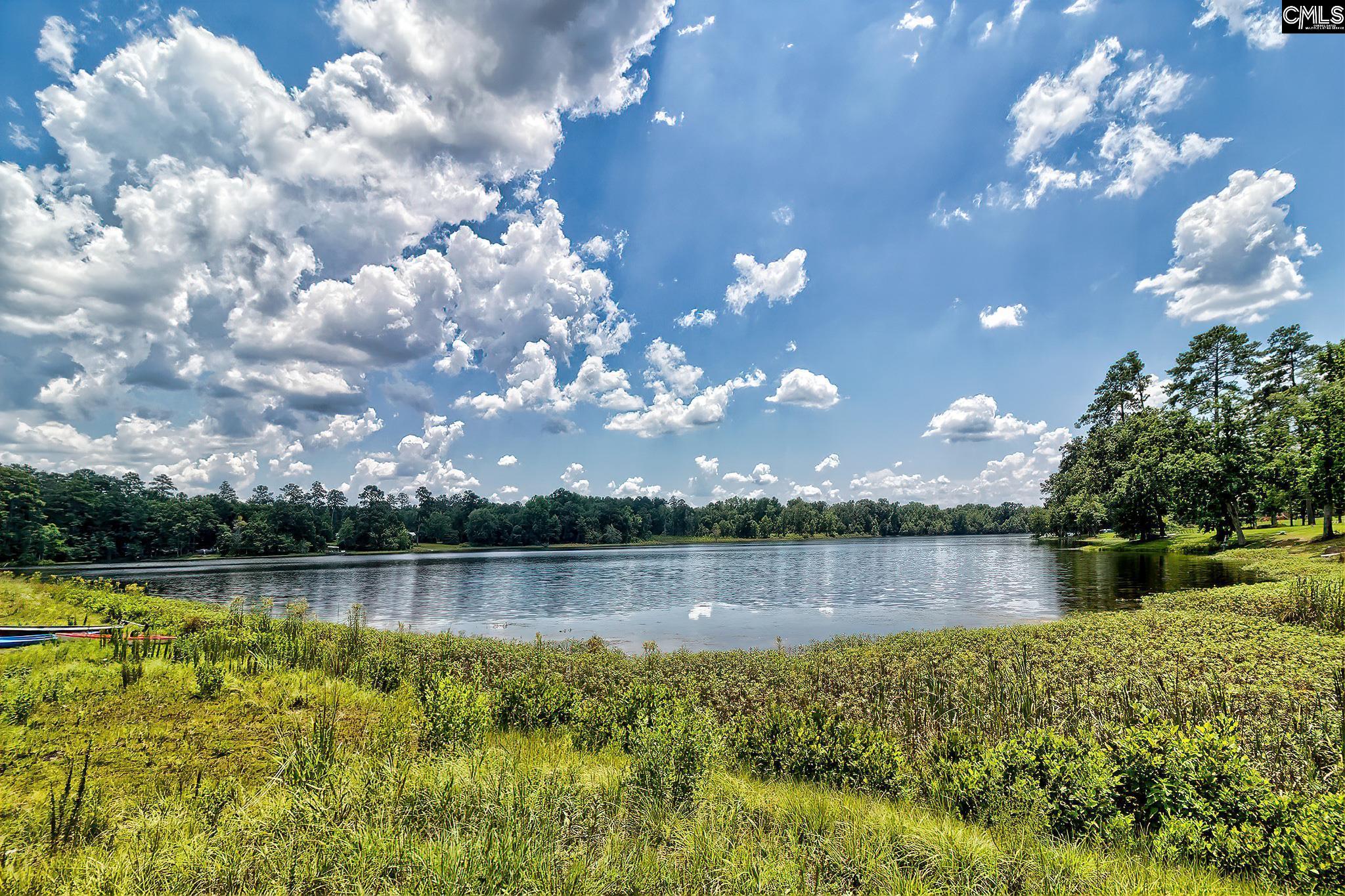 414 Litchfield Lane Lexington, SC 29072