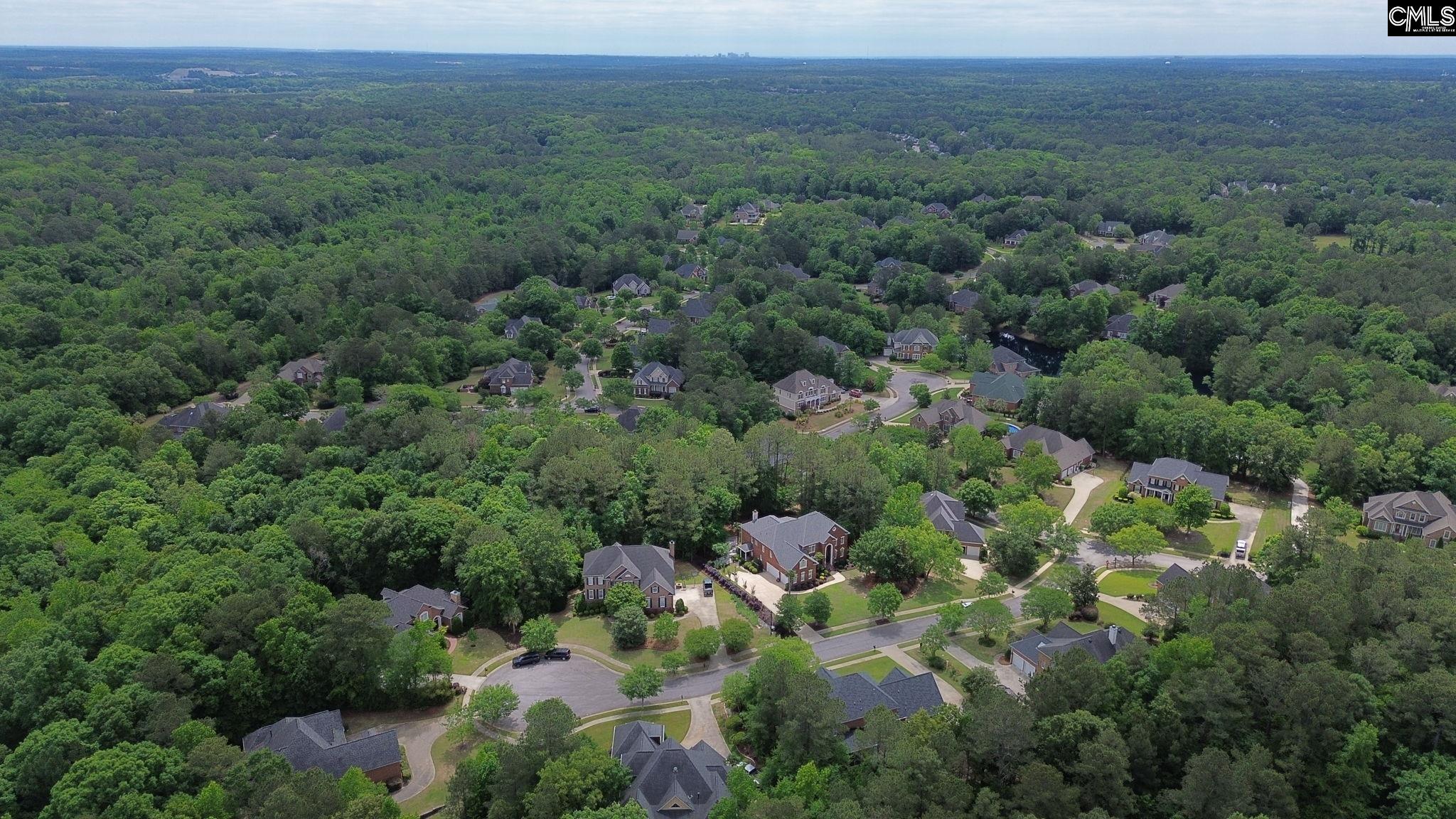 4 Ridge Cliff Court Irmo, SC 29063