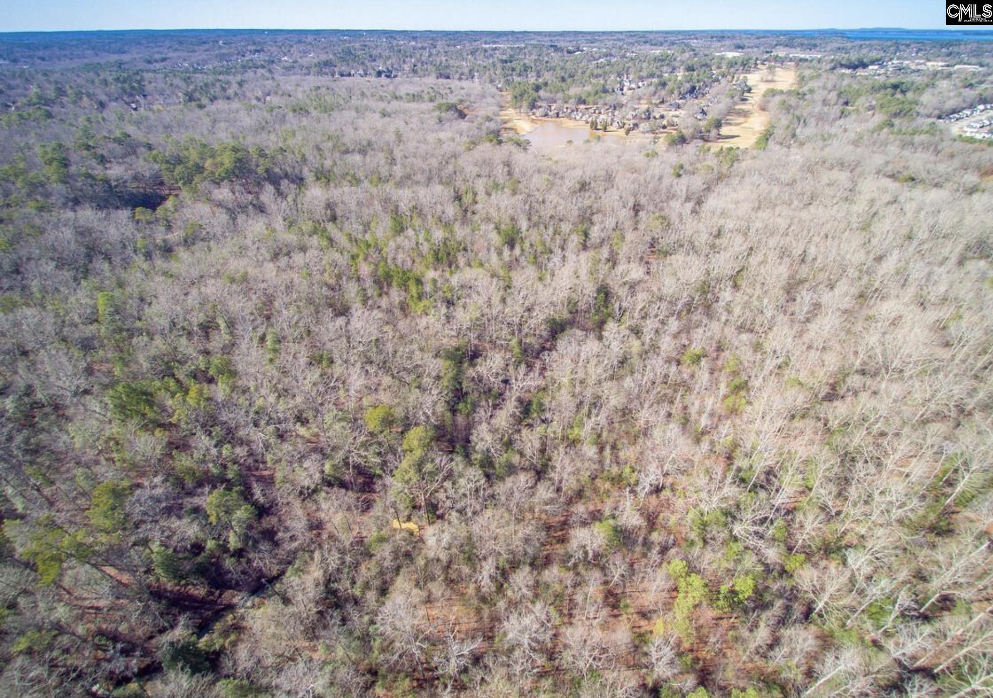 Morgan Drive Lexington, SC 29072