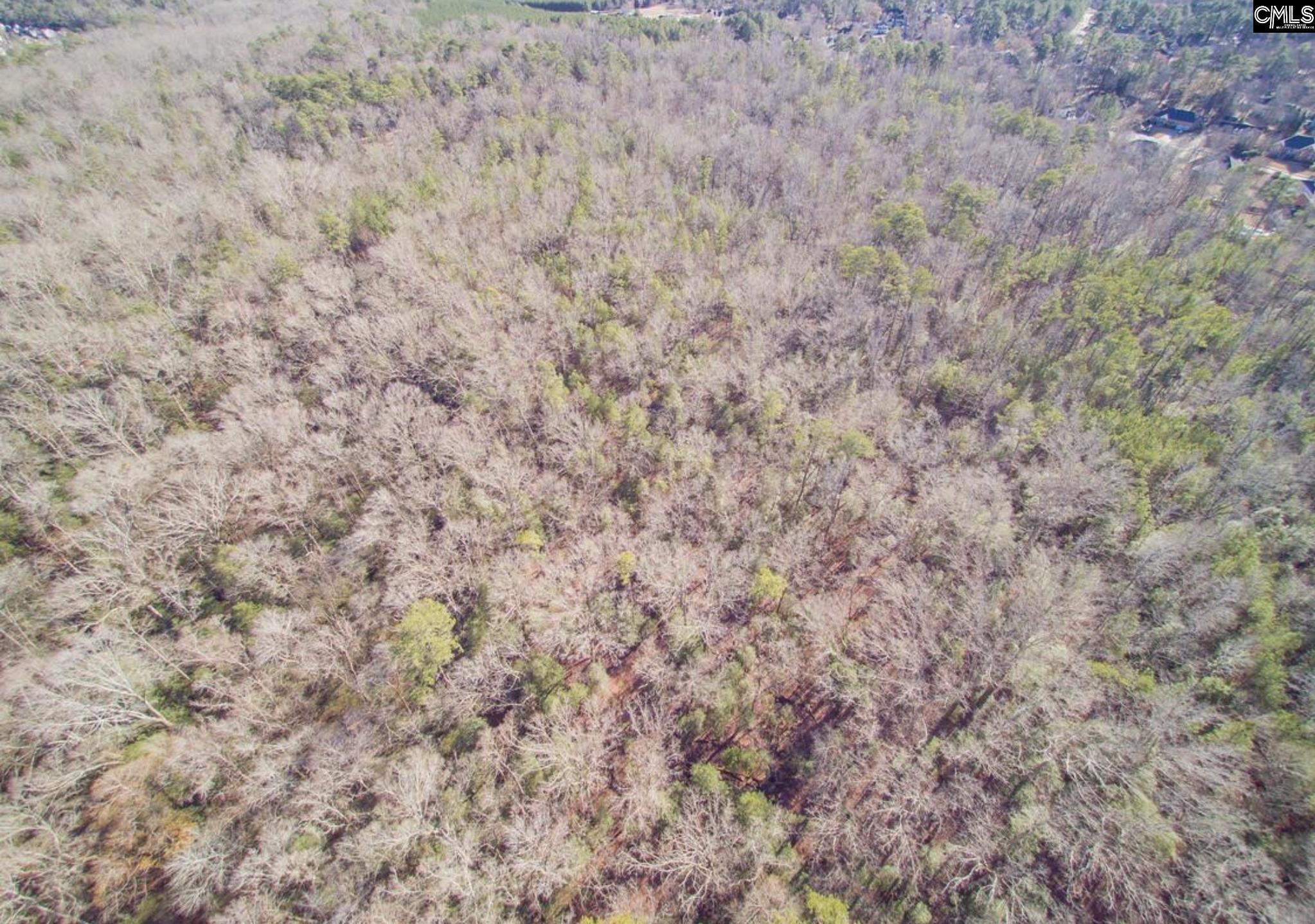 Morgan Drive Lexington, SC 29072