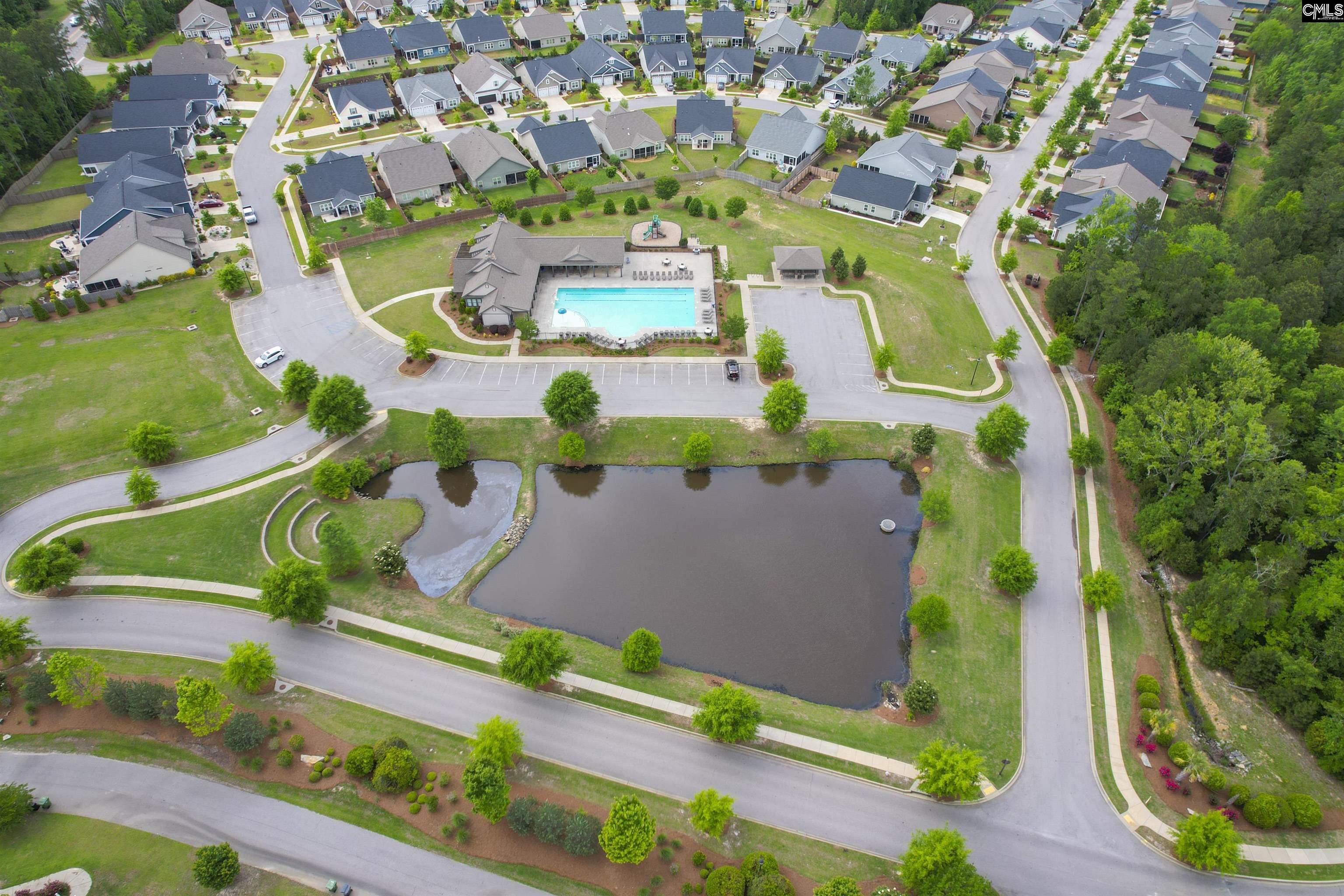 142 Almofini Lane Chapin, SC 29036