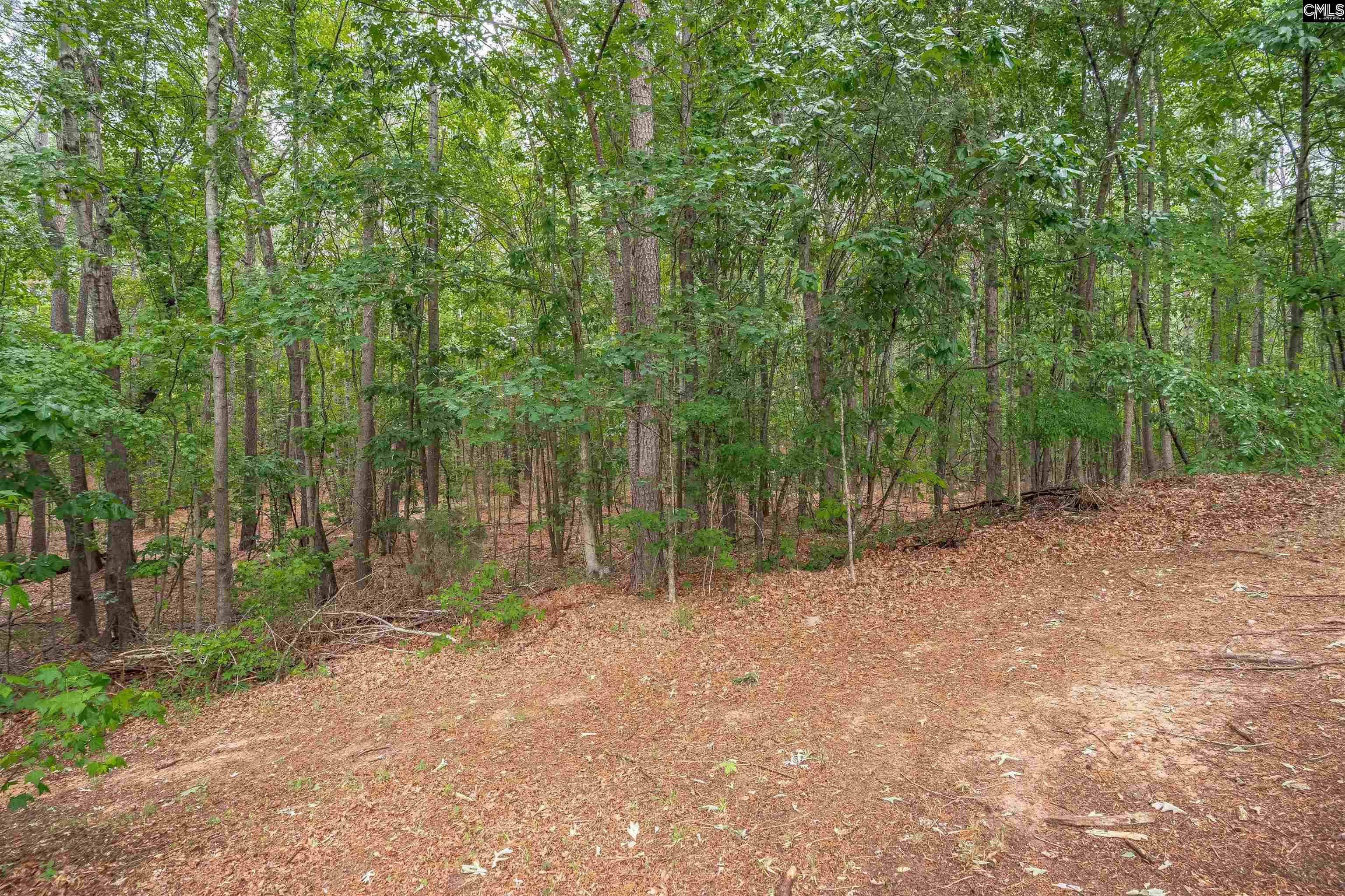222 Gloria Trail Columbia, SC 29203