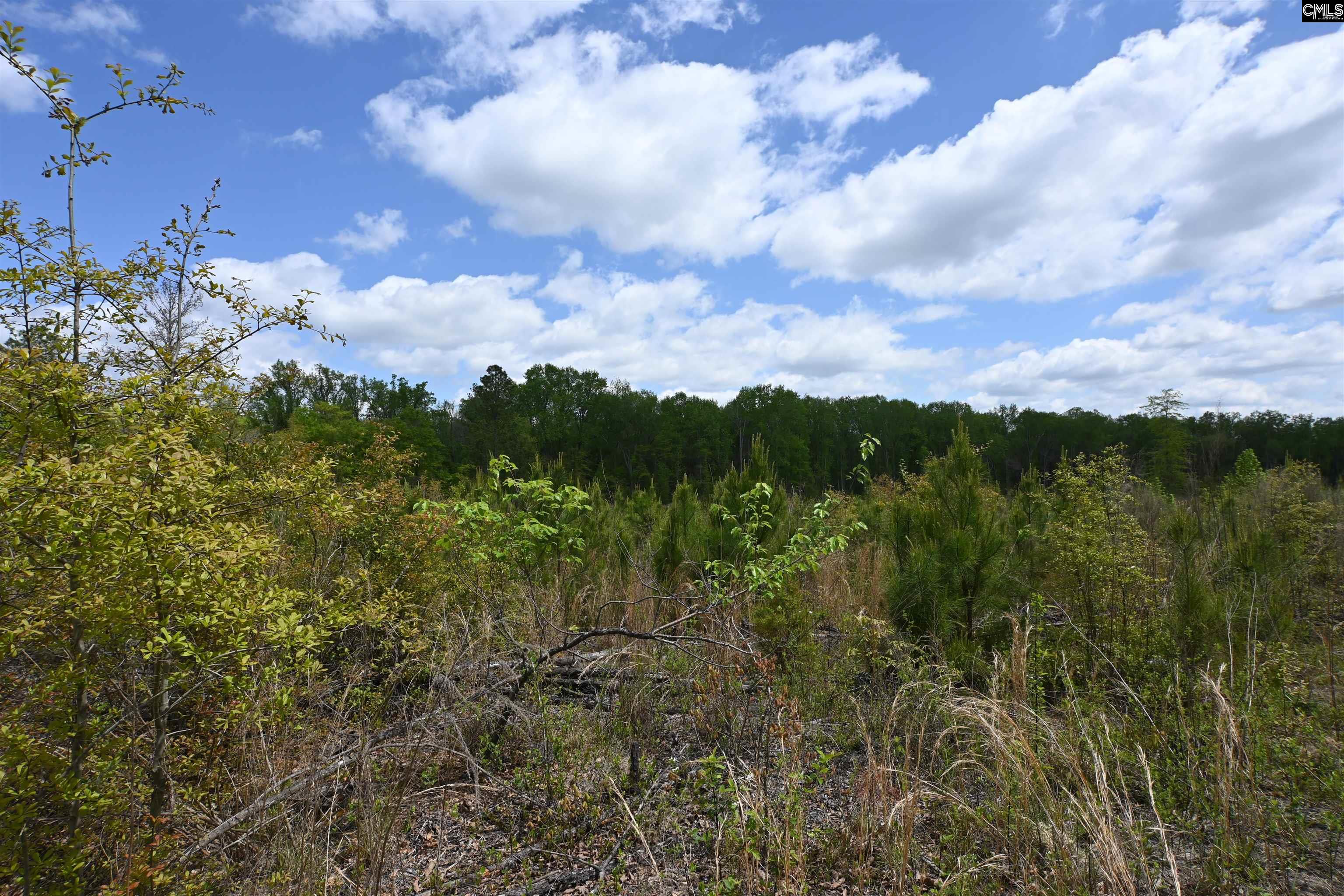 Platt Springs Road West Columbia, SC 29169